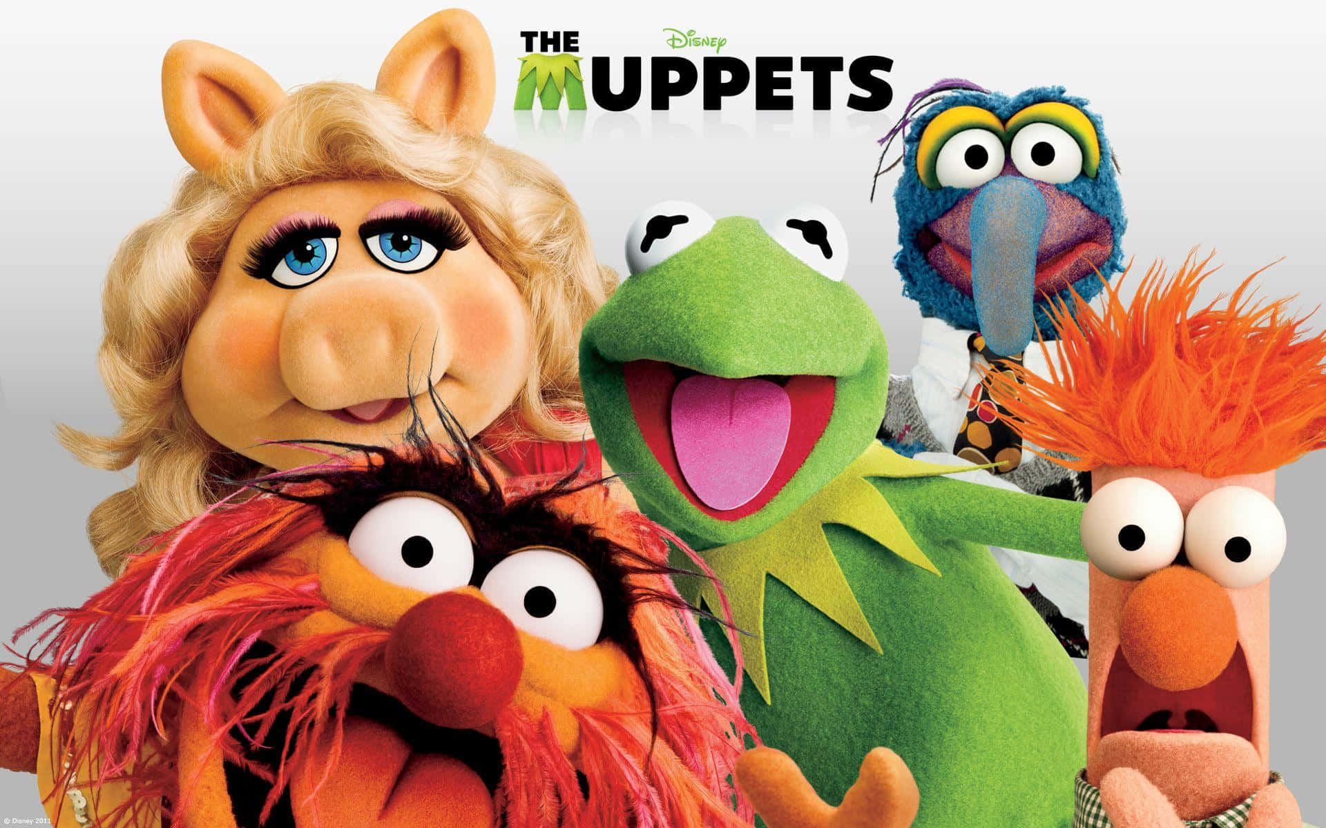 die muppets fliekplakkaat Muurpapier