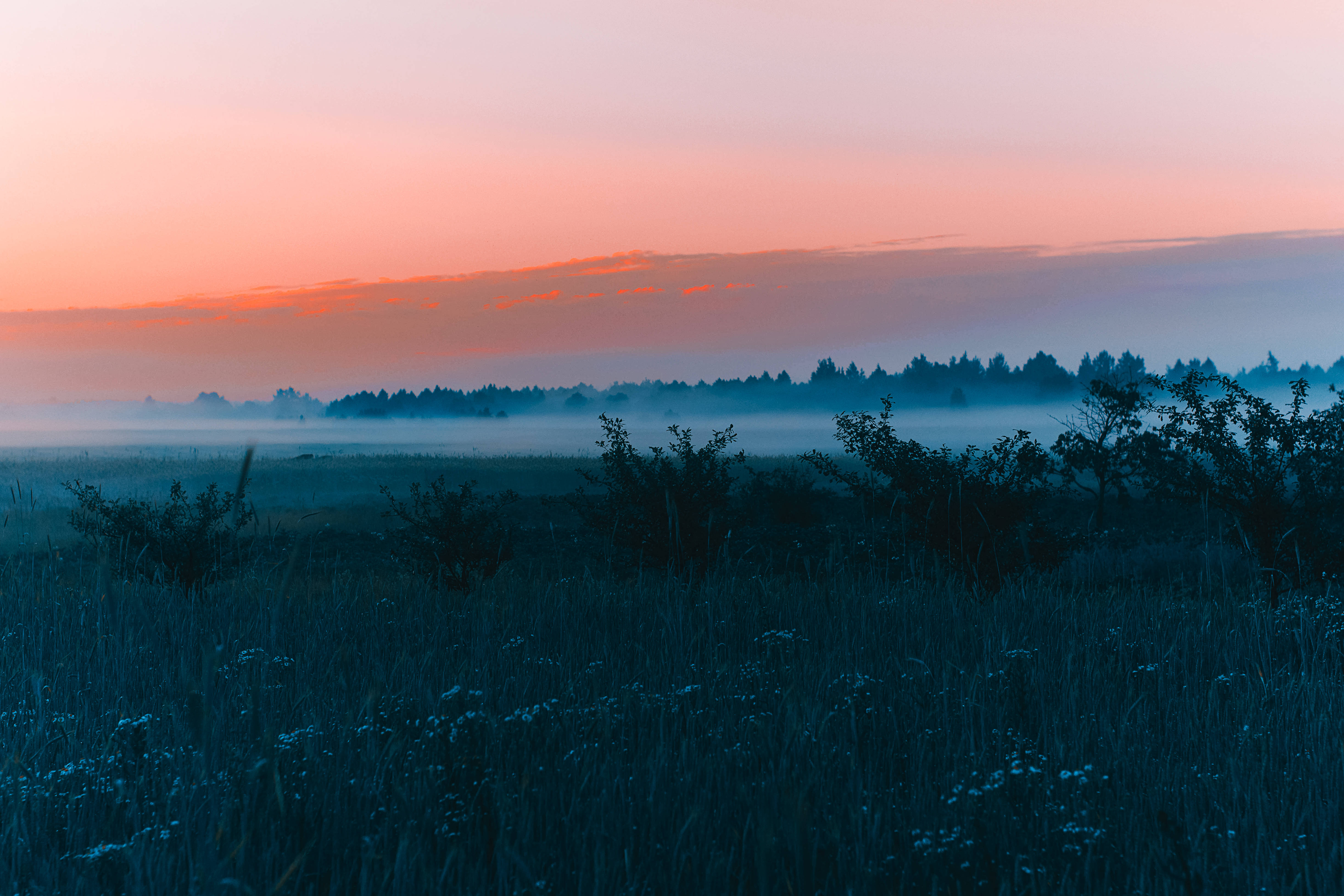 Die natuur se skoonheid in April ten toon gestel Muurpapier