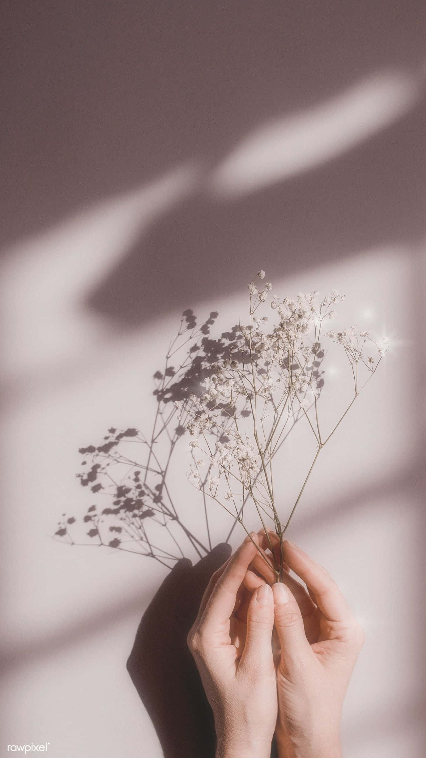 Die perfekte blom-aanraking om enige dag op te helder. Muurpapier