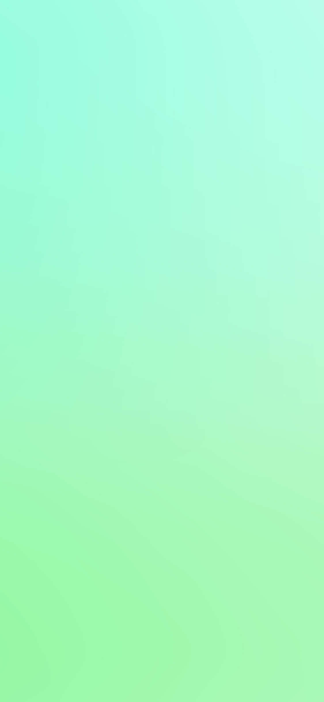 Die Pragtige Nuwe iPhone 11 in Vet Groen Muurpapier