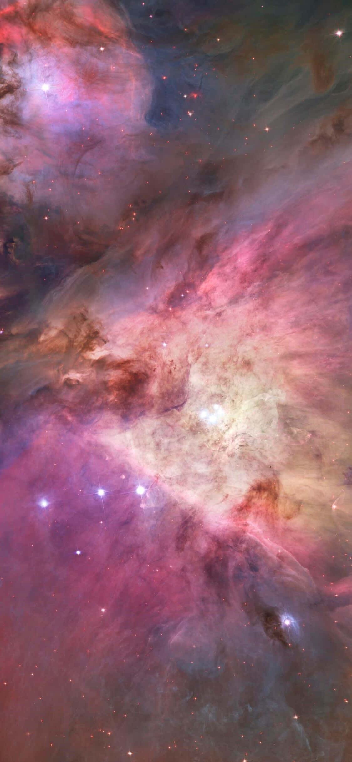 Die pragtige Orion-konstellasie teen 'n see van sterre. Muurpapier