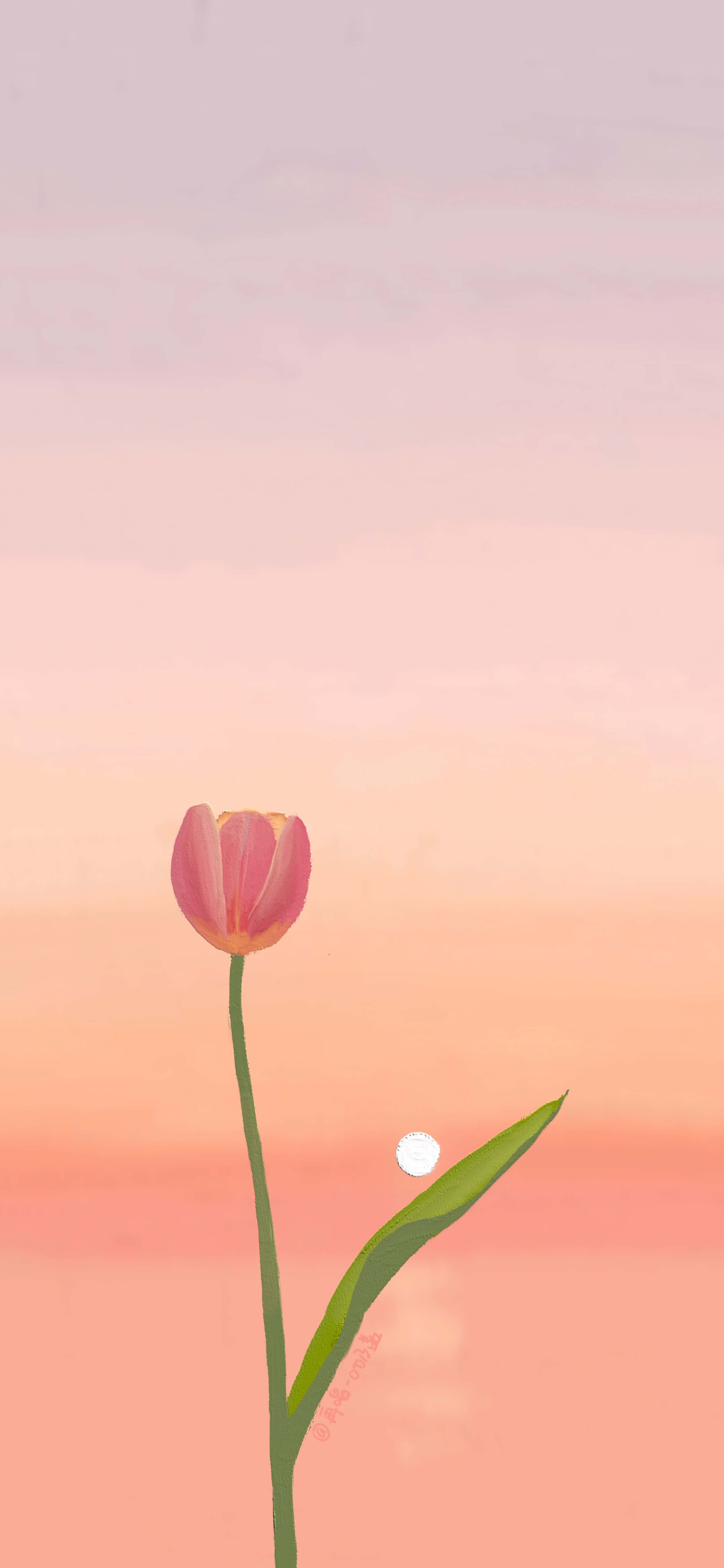 Die skoonheid van Tulpe Muurpapier