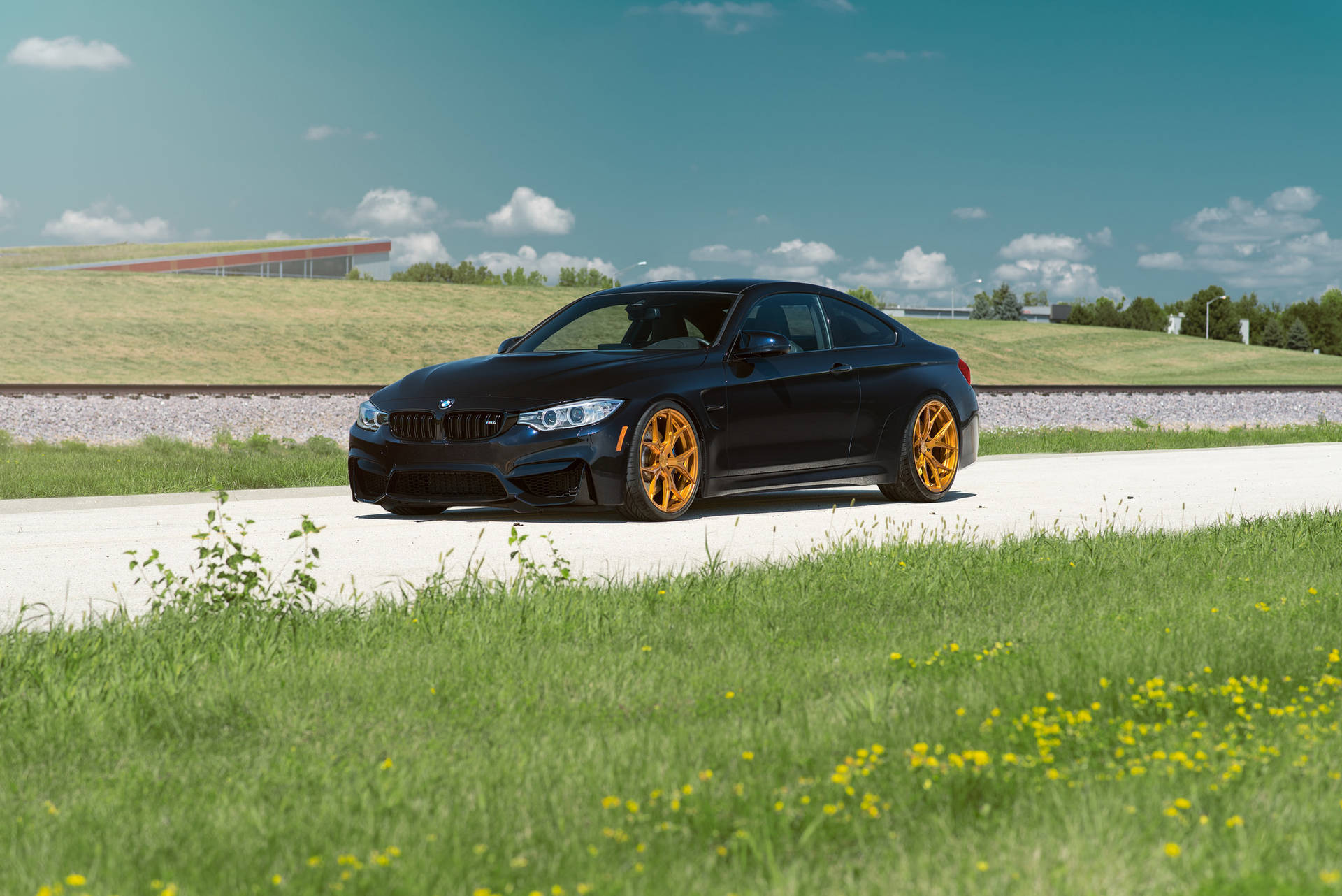 Swart BMW M4 F82-motor op pad met gras agtergrond