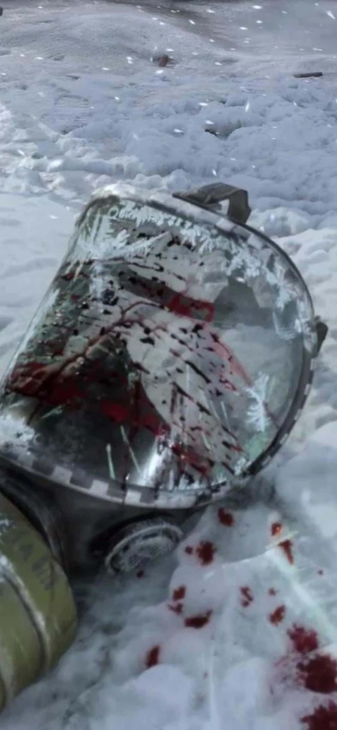 Die welige post-apokaliptiese natuurskoon van Metro Exodus Muurpapier
