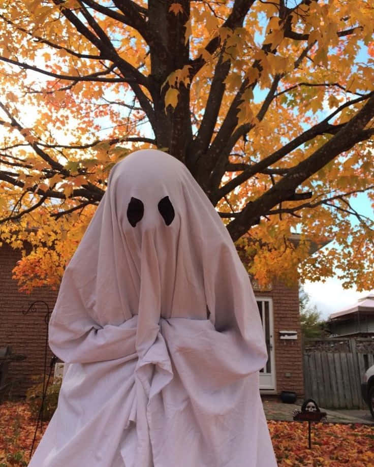 Dis Halloween, trek aan en wees iemand anders! Muurpapier