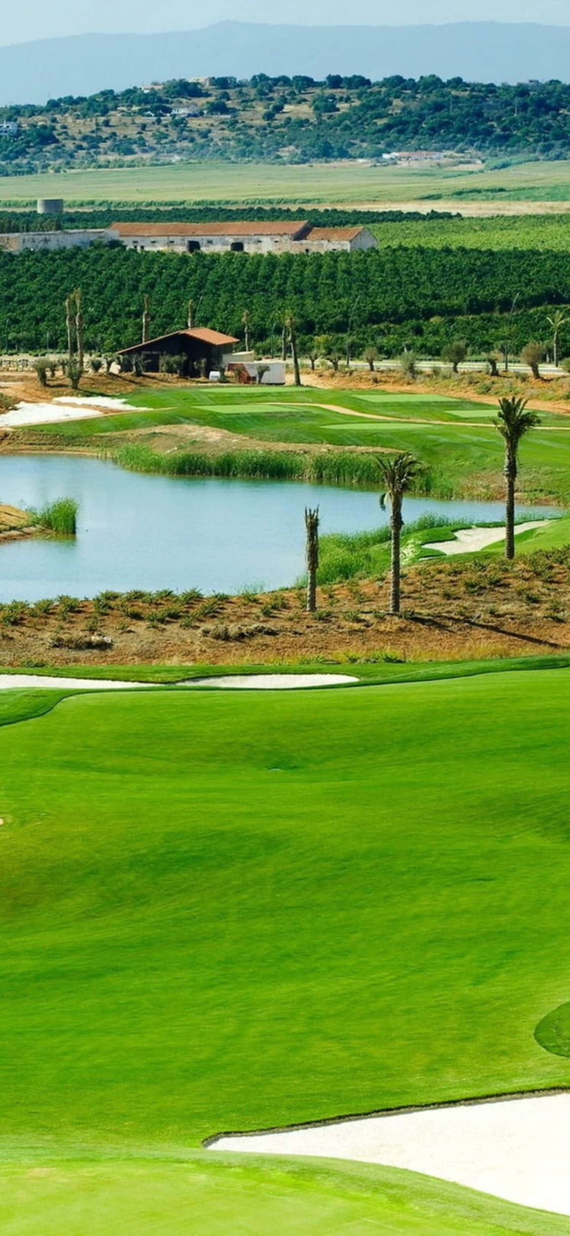 Dis tee-tyd! Geniet jou gholfspel op die welige fairways van die gholfbaan op jou iPhone X Muurpapier