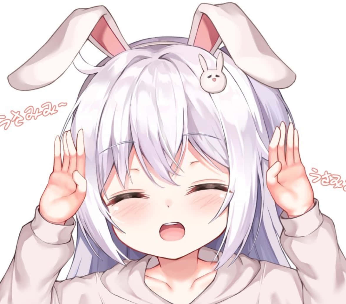 Discord Anime PFP Gelukkige Konyn Muurpapier
