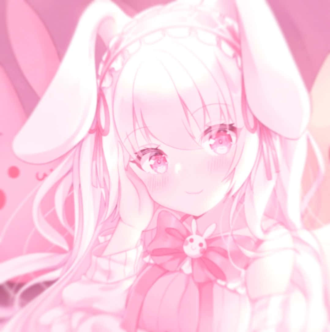 Discord Anime Profielfoto Pienk Estetika Muurpapier