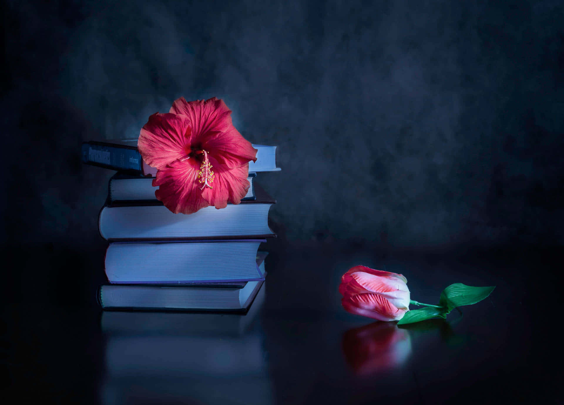 Donker Blommige Elegansie Muurpapier