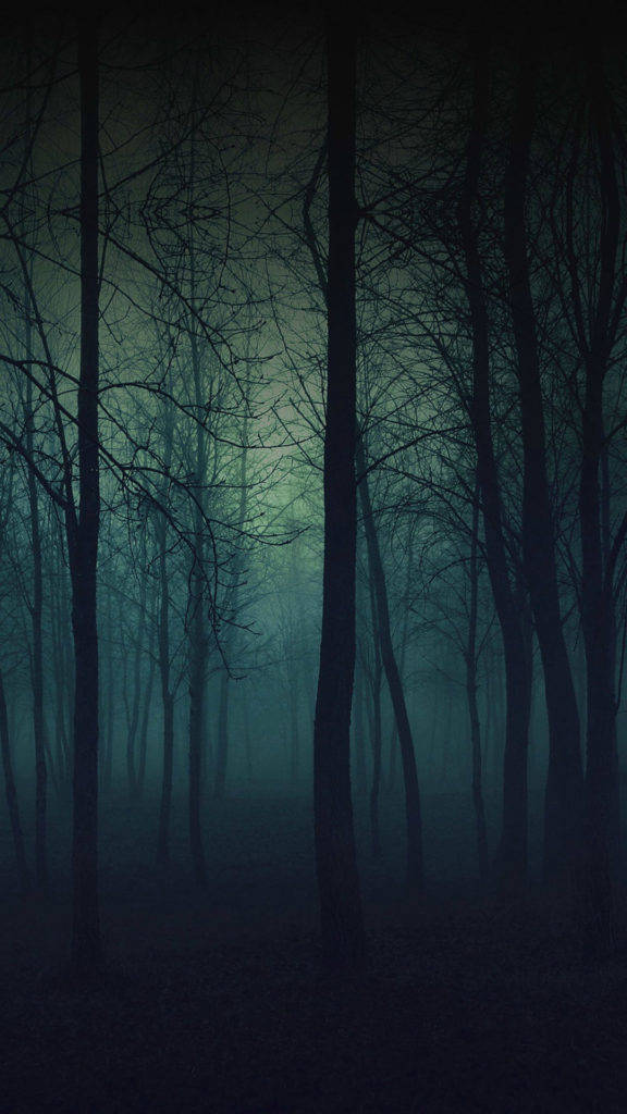 Donker Eerie Woud iPhone Muurpapier