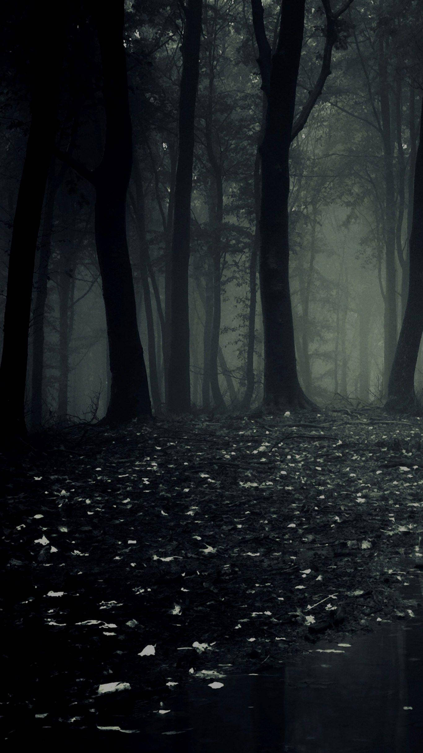 Donker Foon Griezelige Bos Muurpapier