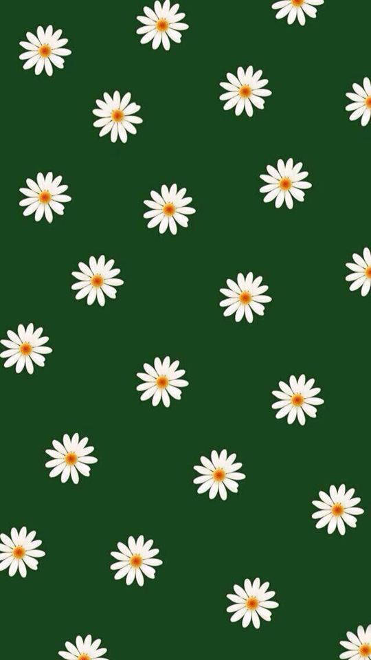 Donker Groen Wit Blomme Muurpapier