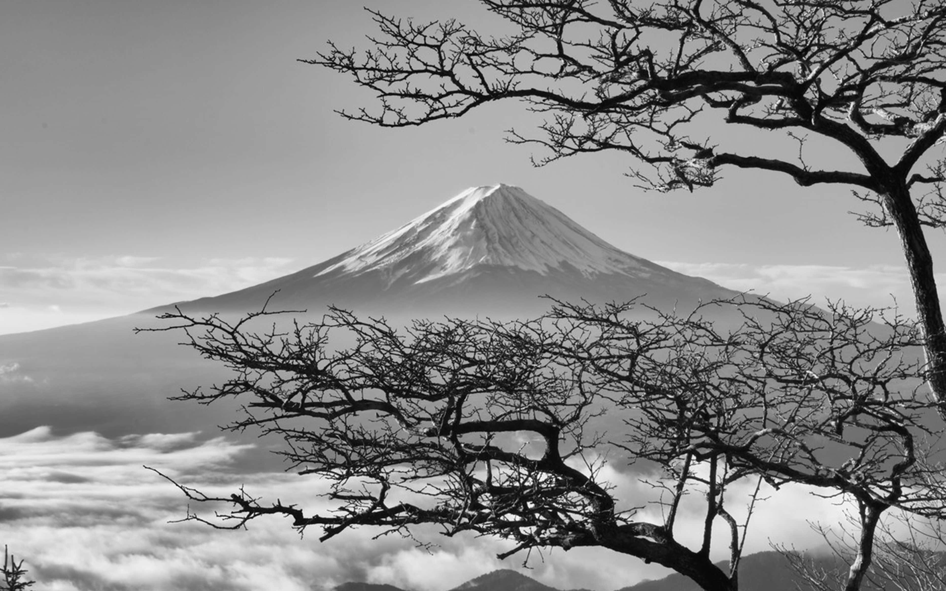 Donker Japannese Berg Fuji met Kersiebloeisels Muurpapier