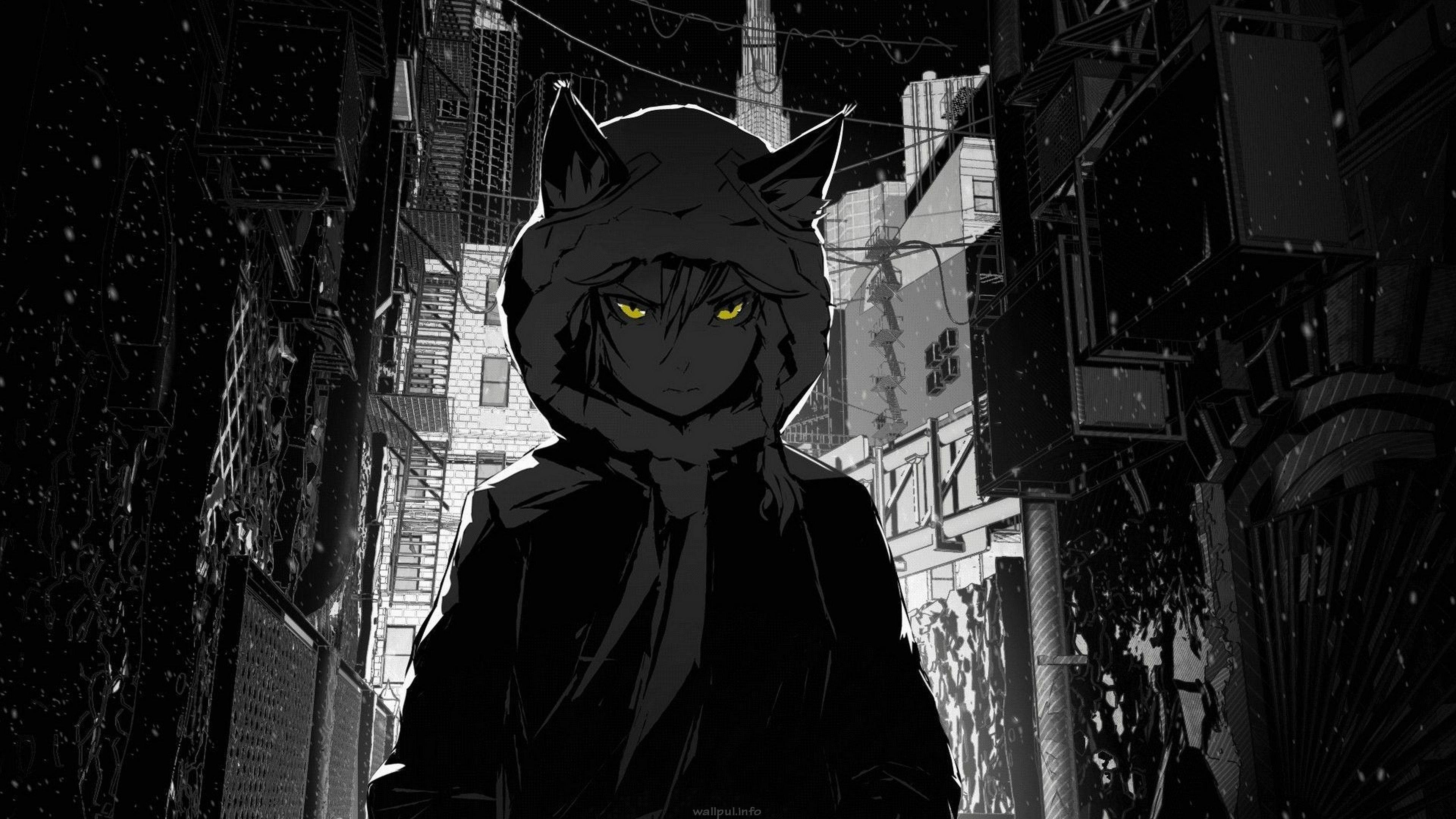 Donker Meisiewolf Edgy Anime Pfp Muurpapier