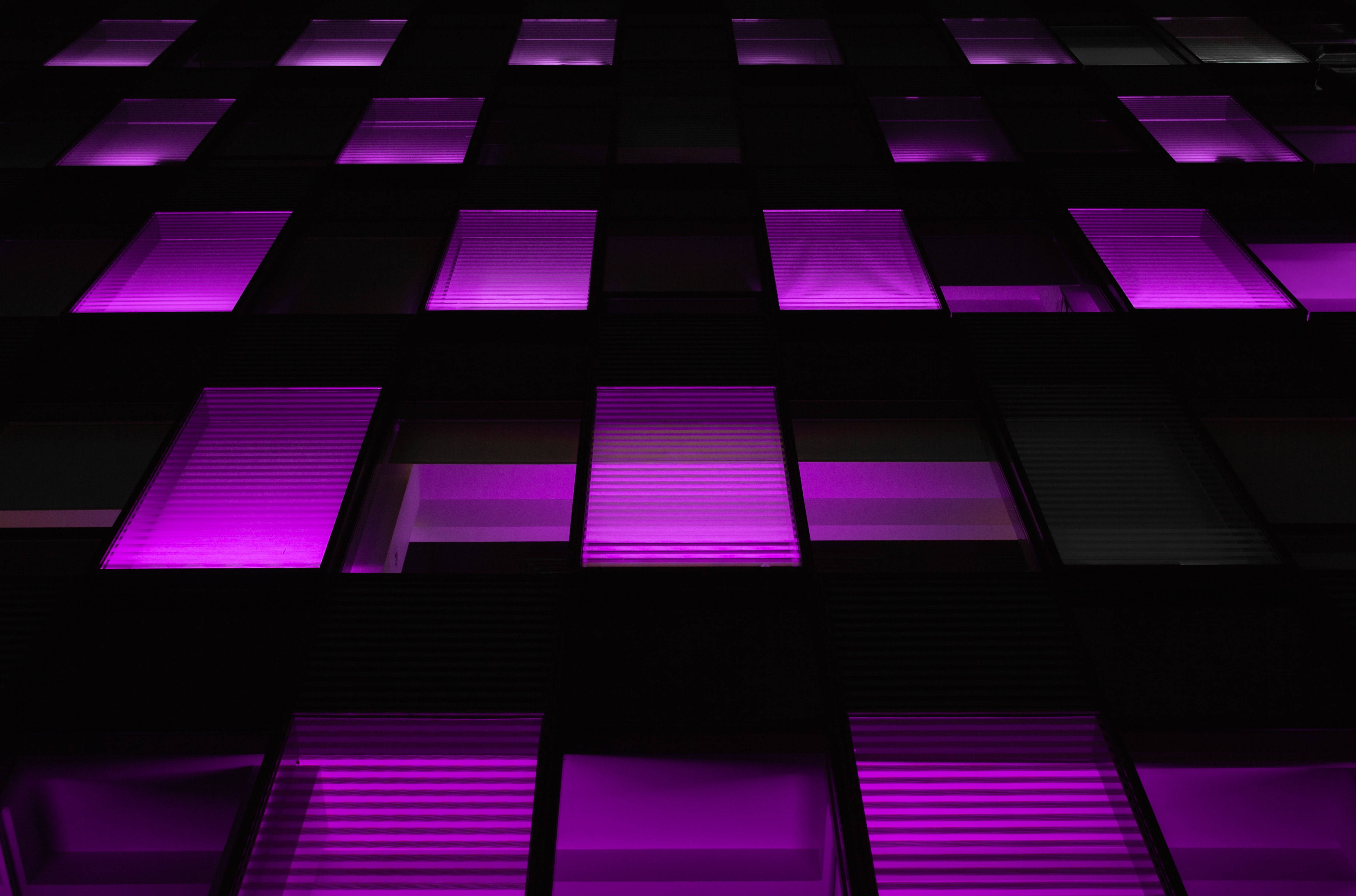 Donker Neon Pers Vierkante Muurpapier