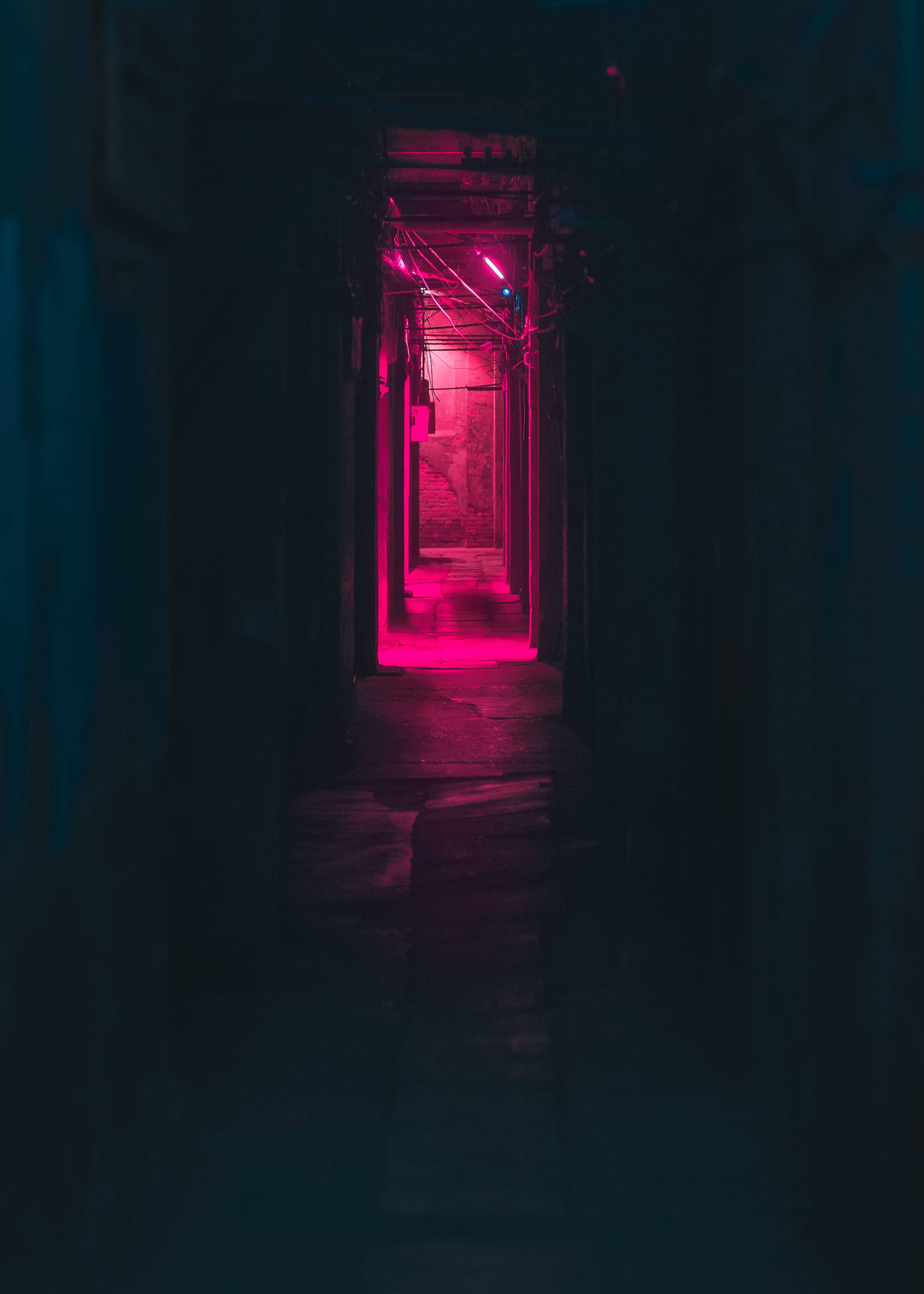 Donker Neon Pienk Stegie Muurpapier