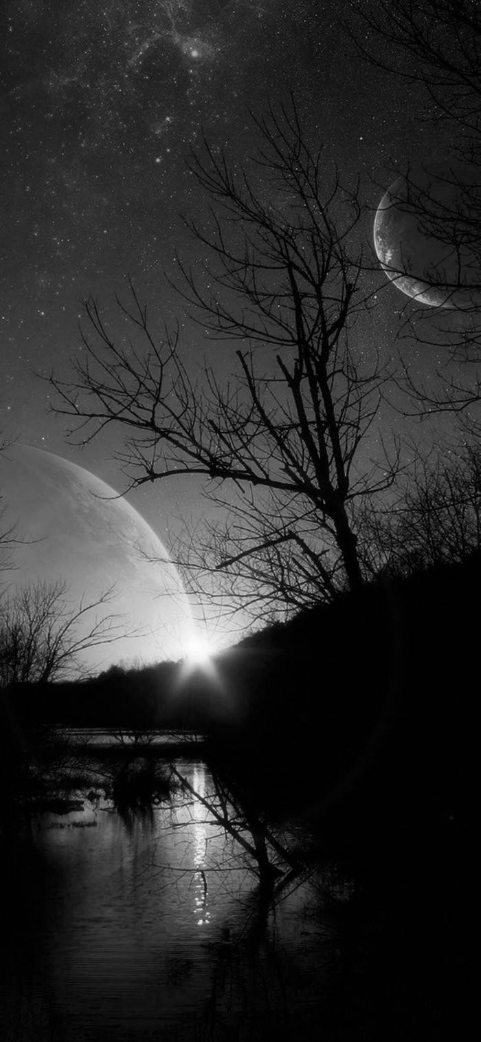Dead Tree Under The Moon Solid Black Iphone