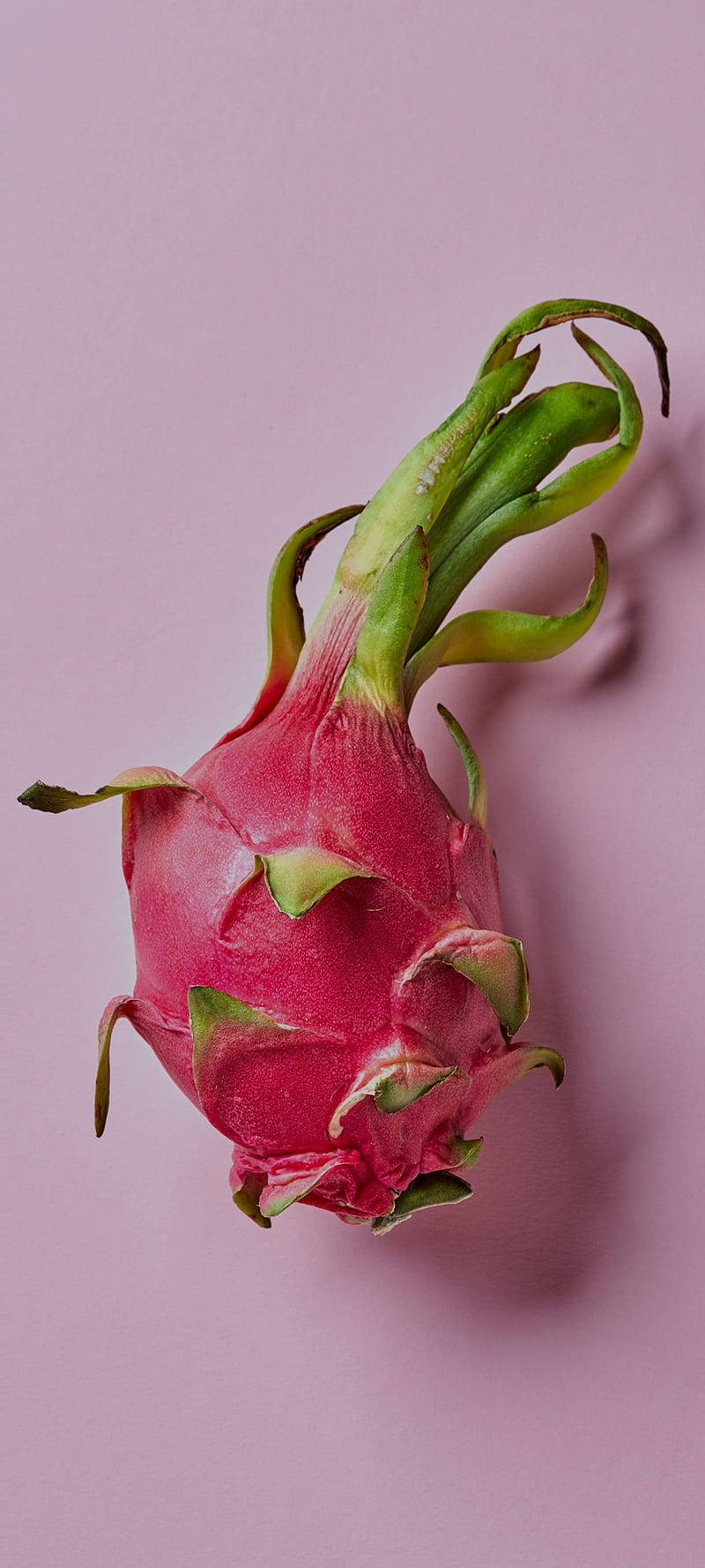 Draakvrug Vrugtefotografie Pastelpienk Agtergrond Muurpapier