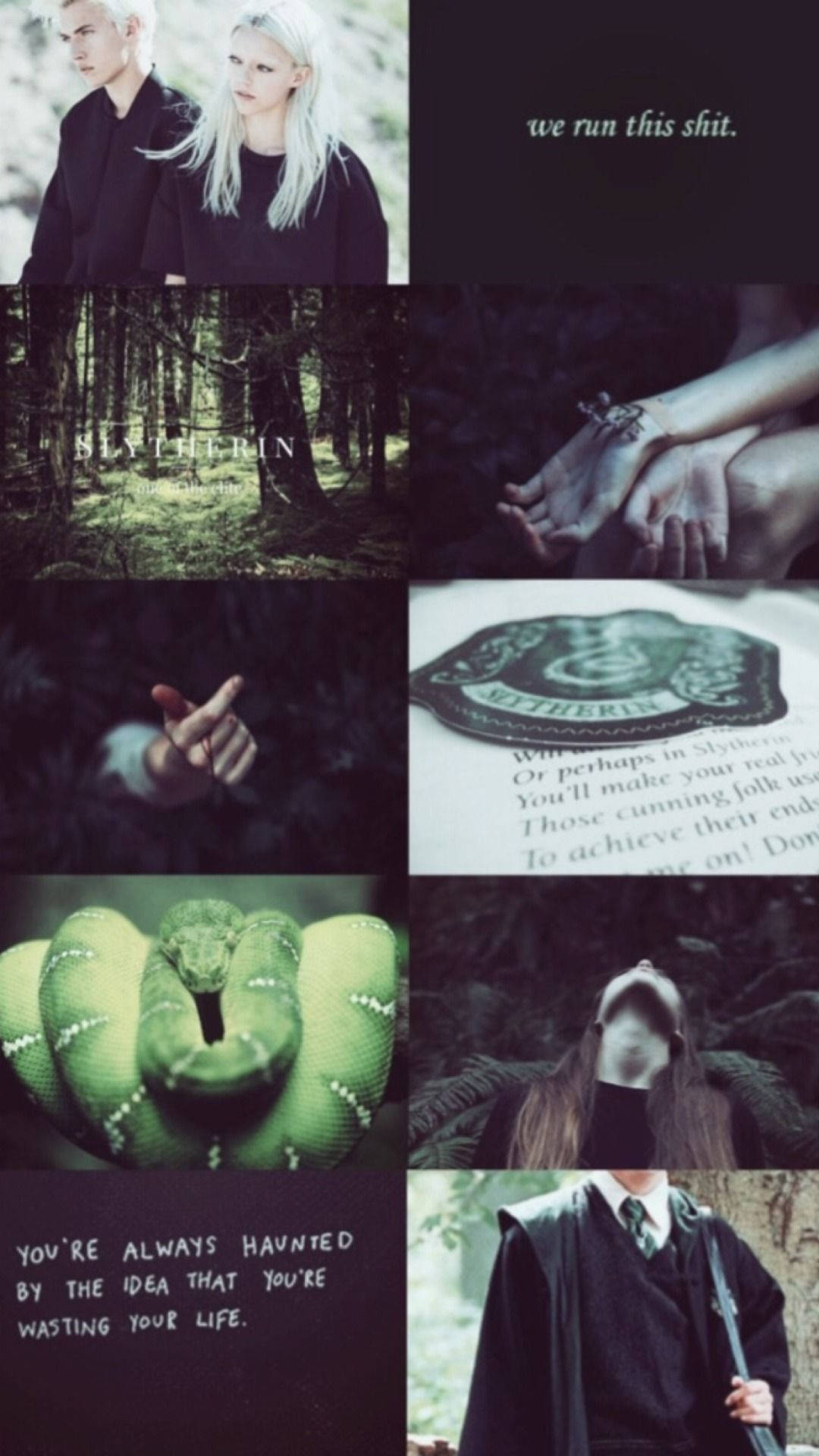 Draco Malfoy Slytherin Paar Estetika Muurpapier