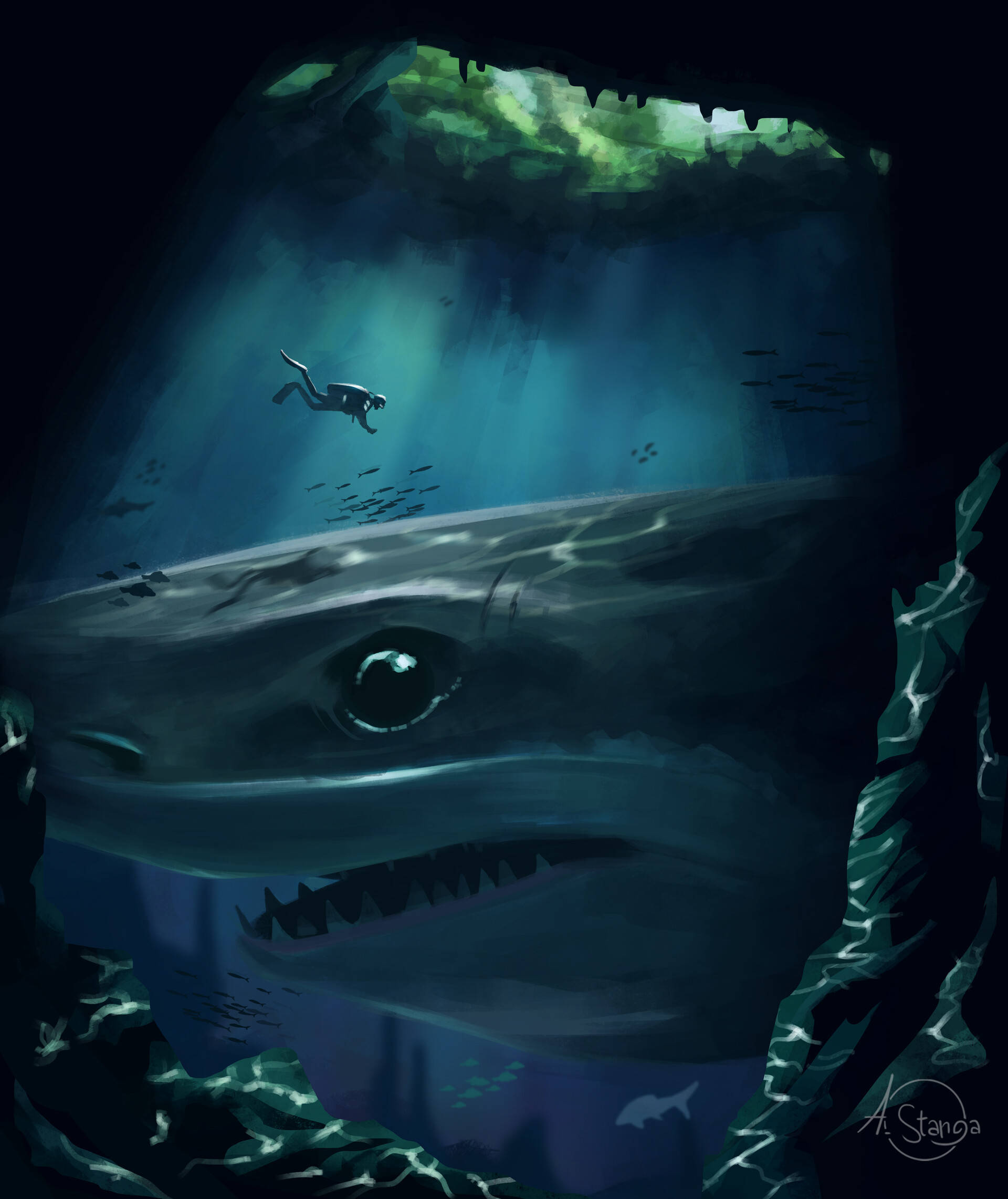 Duiker en 'n Haai Kuns Muurpapier