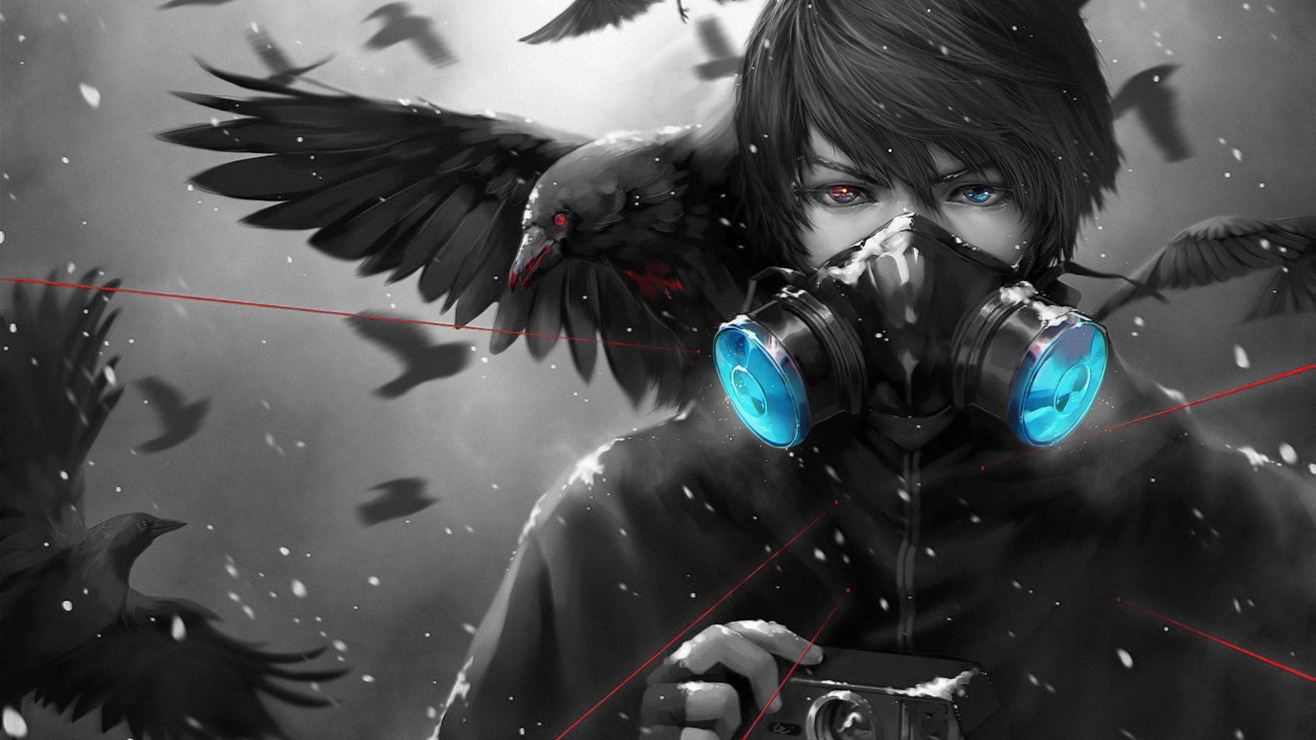 Edgy Anime Profielfoto Kraai en Seun Muurpapier