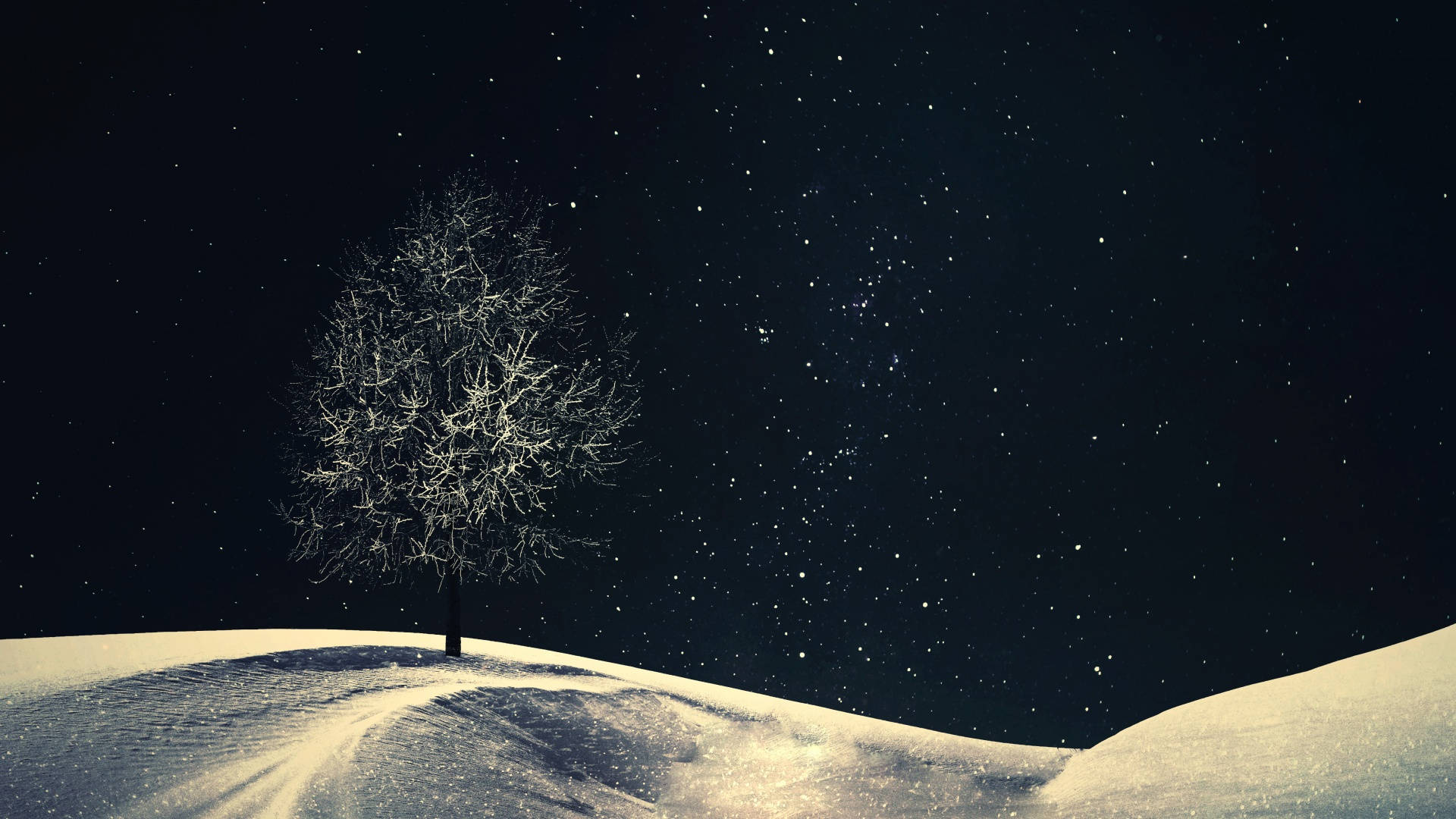 Eensame Boom Winter Estetiek Muurpapier