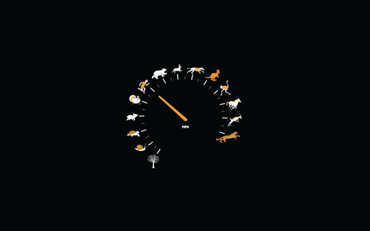 Eenvoudige Swart Snelheidsmeter met Diere Muurpapier