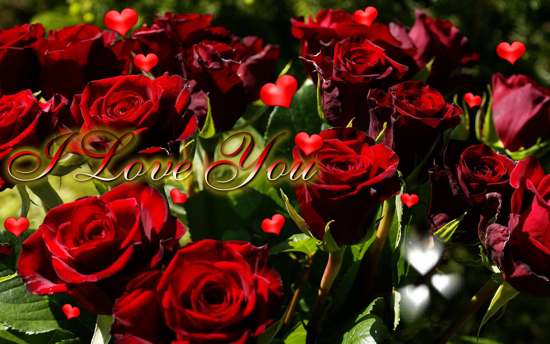 Ek Is Lief Vir Jou So Baie Met Rose Muurpapier