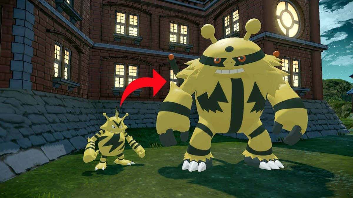 Electabuzz laai energie op in Pokémon-geveg Muurpapier