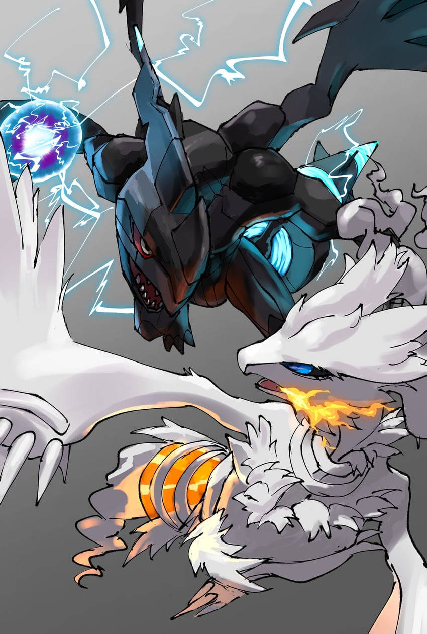 Epiese Reshiram wat teen Zekrom veg Muurpapier