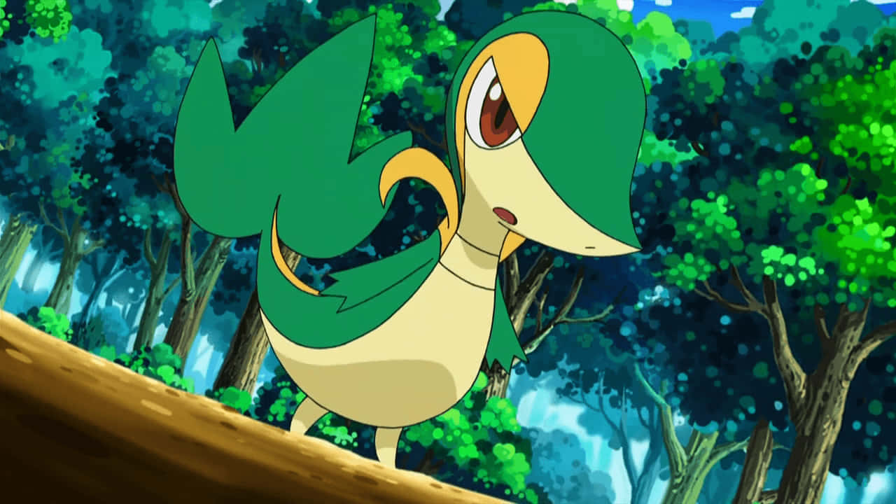 Ernstige Snivy Muurpapier