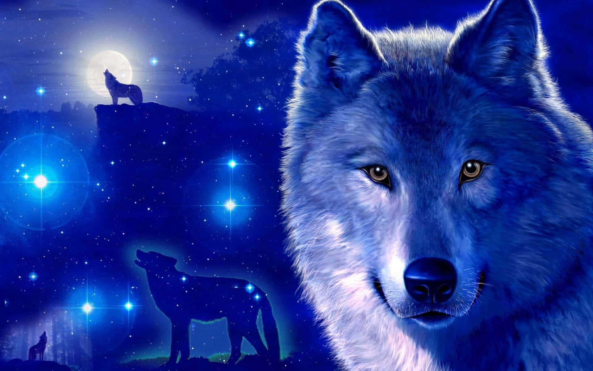 Ervaar die skoonheid van die sterre met Galaxy Wolf Muurpapier