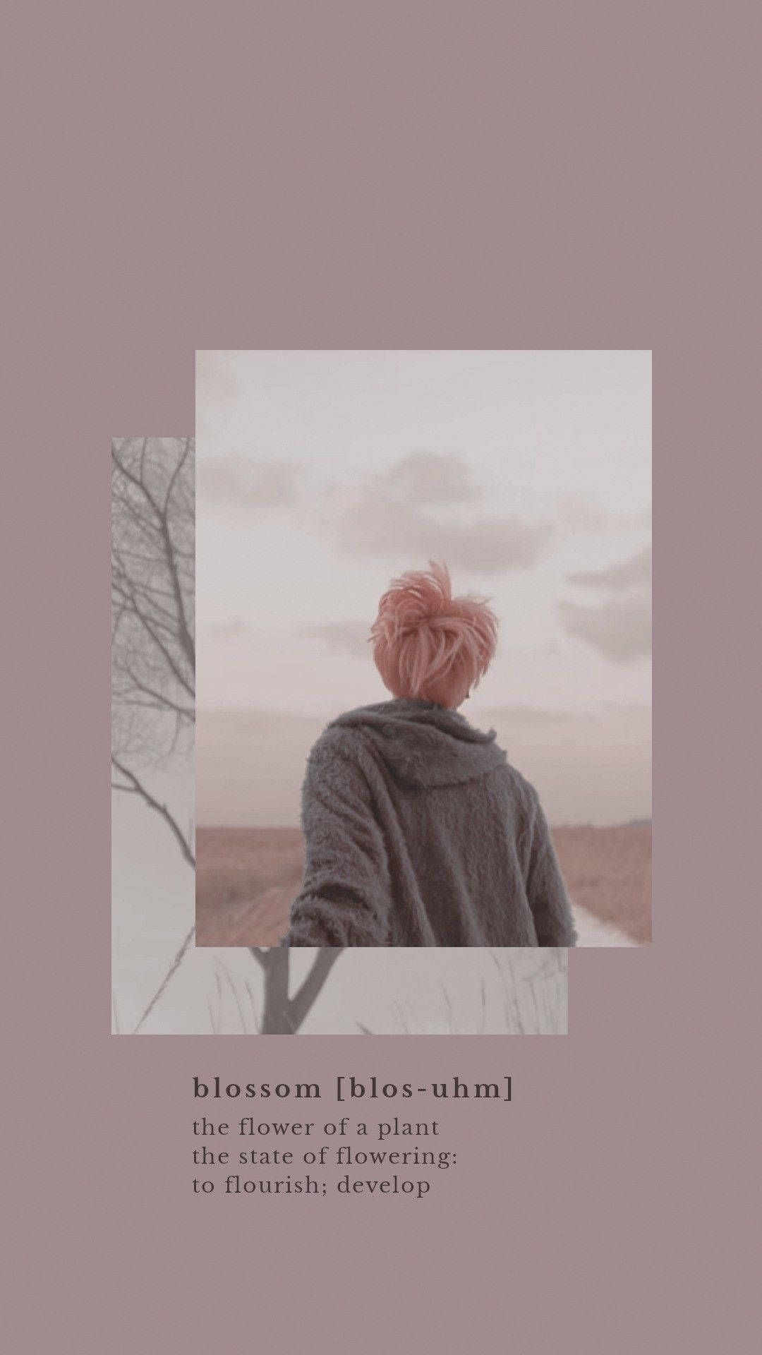 Estetiese BTS Jimin Bloeisel Muurpapier