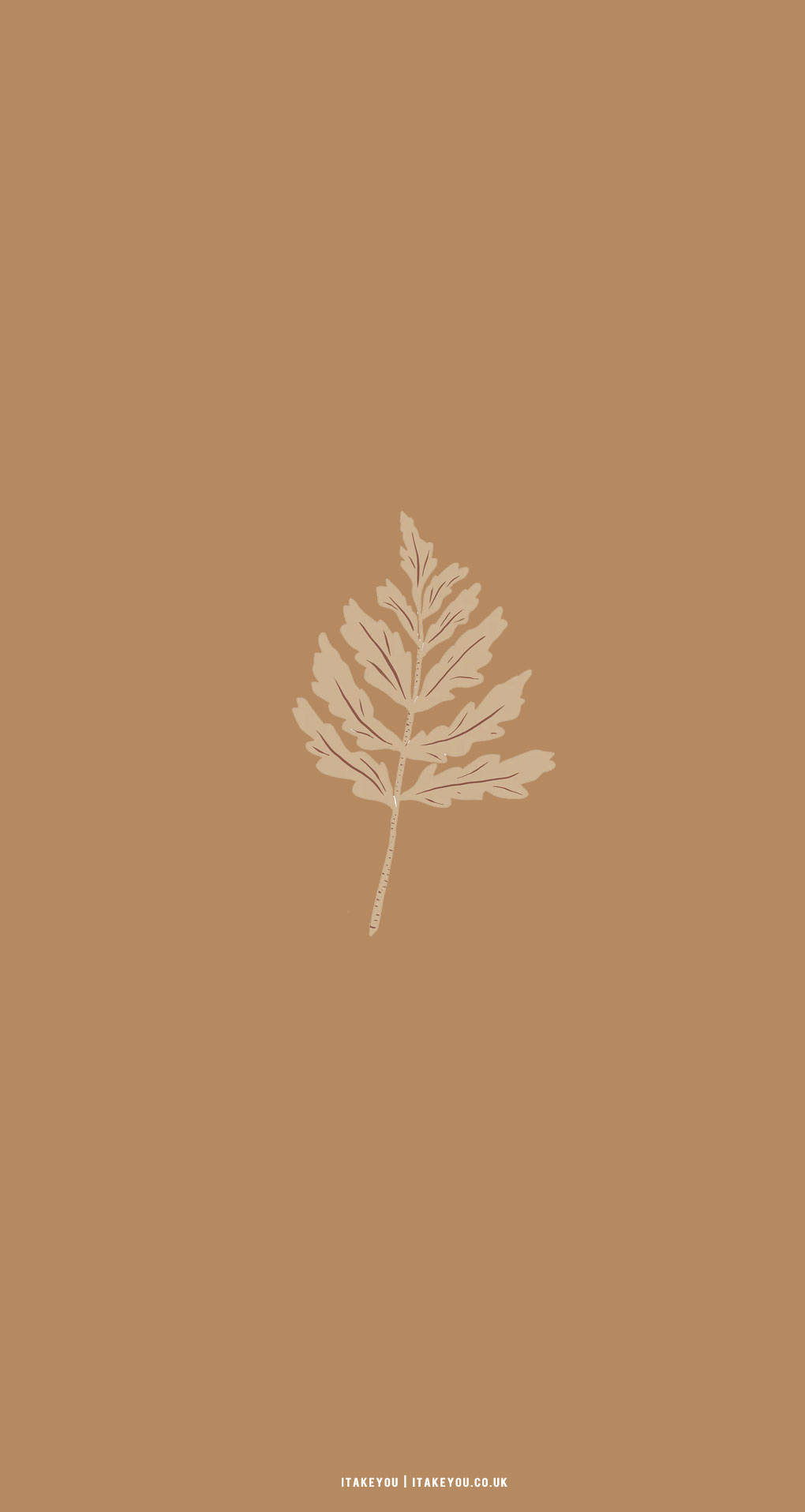 Estetiese Esdoornblaar in Beige Bruin Muurpapier
