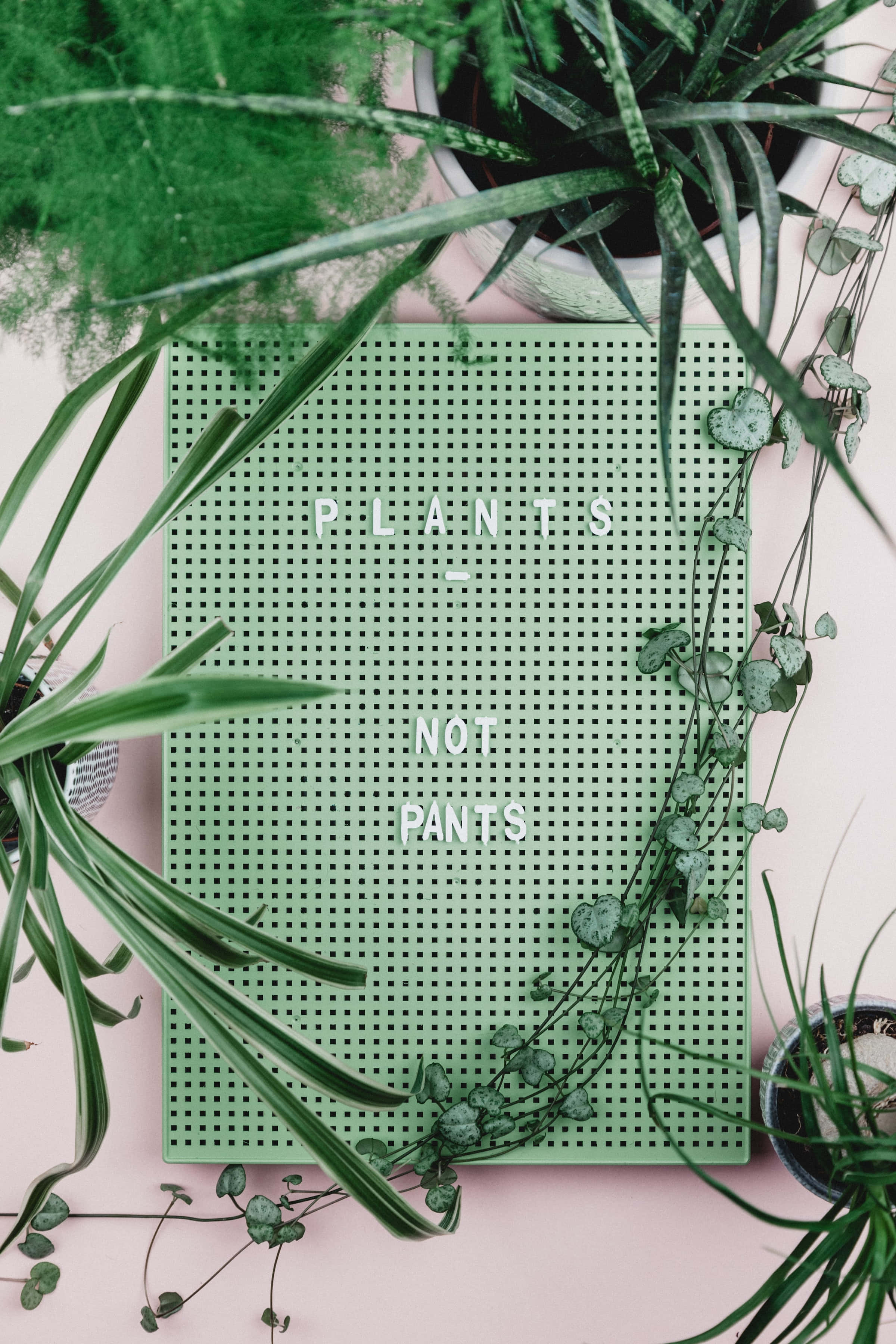 Estetiese Groen Agtergrond van Plante en Plantbord Muurpapier