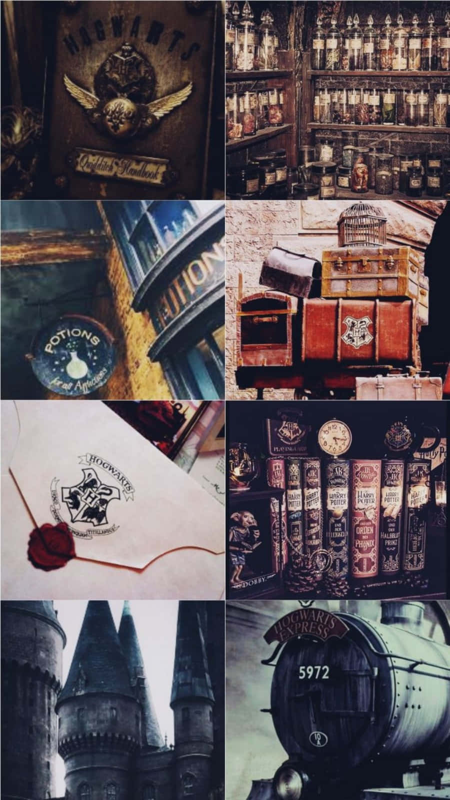 Estetiese Harry Potter wat deur die bos dwaal Muurpapier