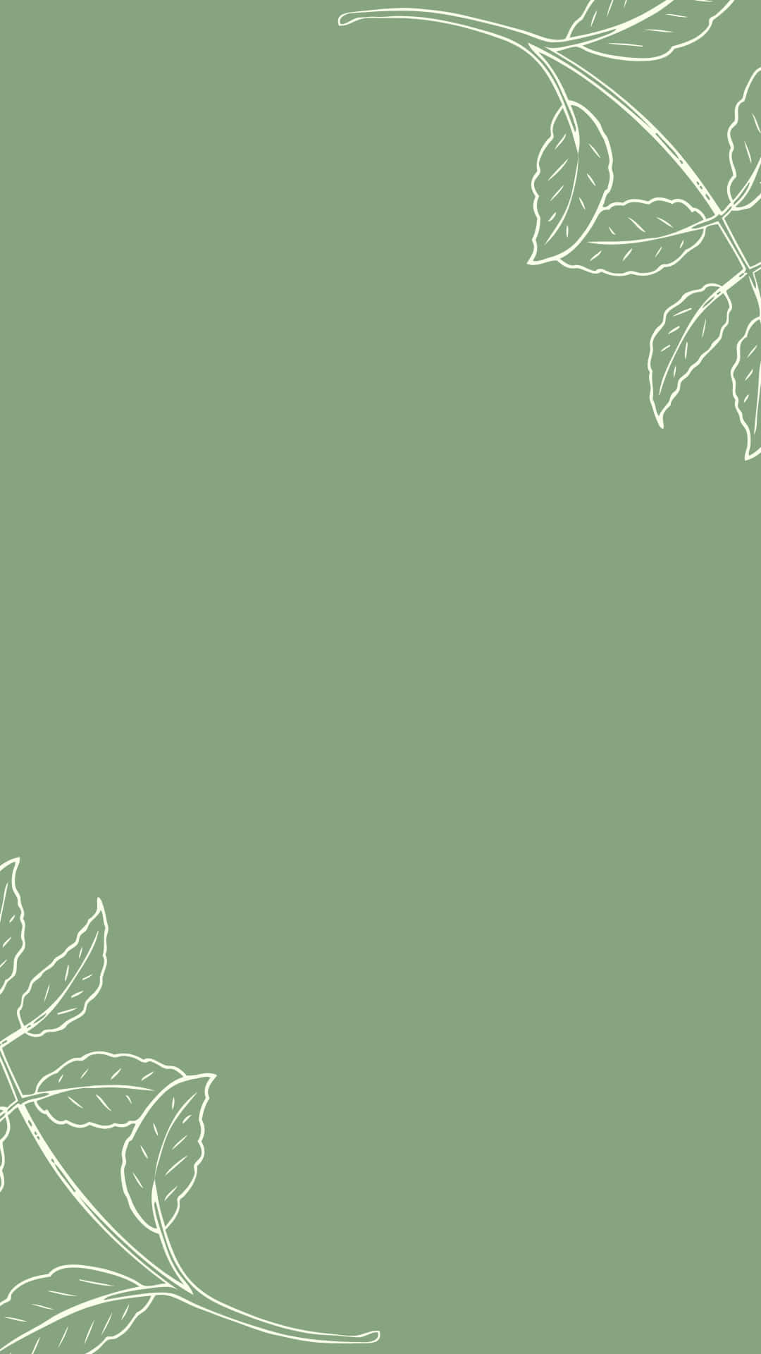 Estetiese Instagram Minimalistiese Saliegroen Muurpapier