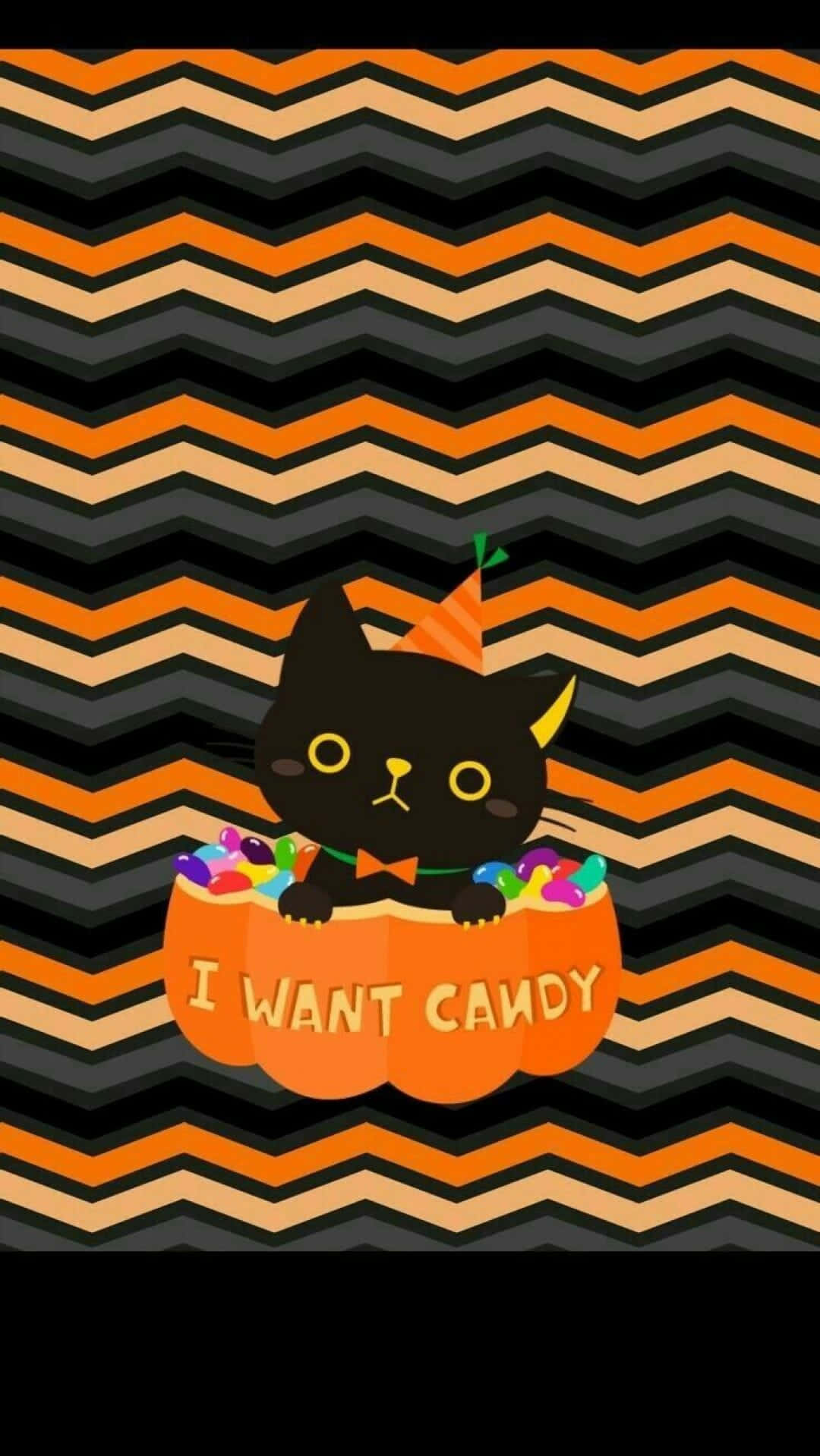 Estetiese Oulike Halloween Swart Kat in 'n Pampoen Muurpapier