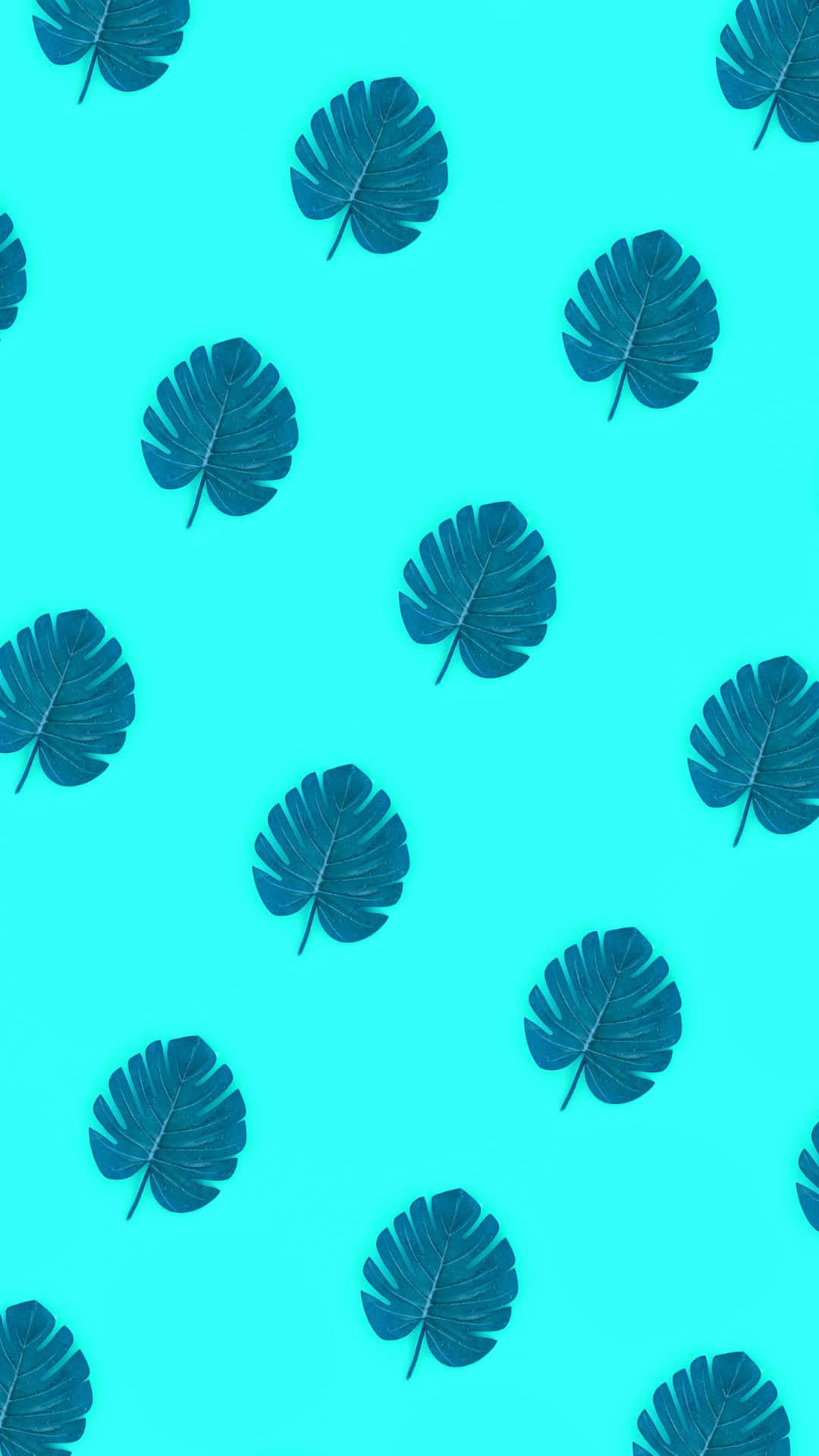 Estetiese VSCO Monstera-blaarpatroonagtergrond Muurpapier