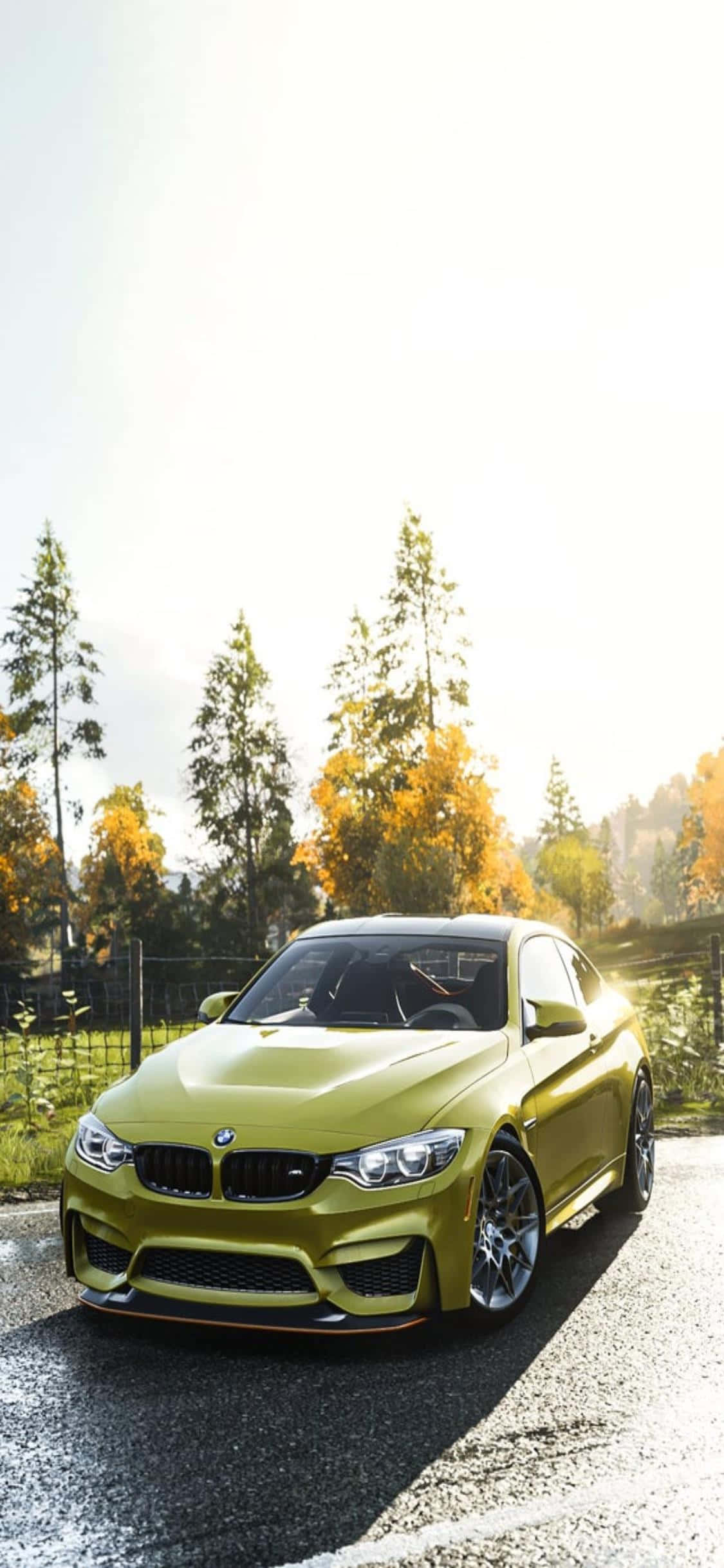 Vinnig & Woedend, Neem Plek Agter die Stuur van die iPhone Xs & Jaag na Oorwinning in Forza Horizon 4 Muurpapier
