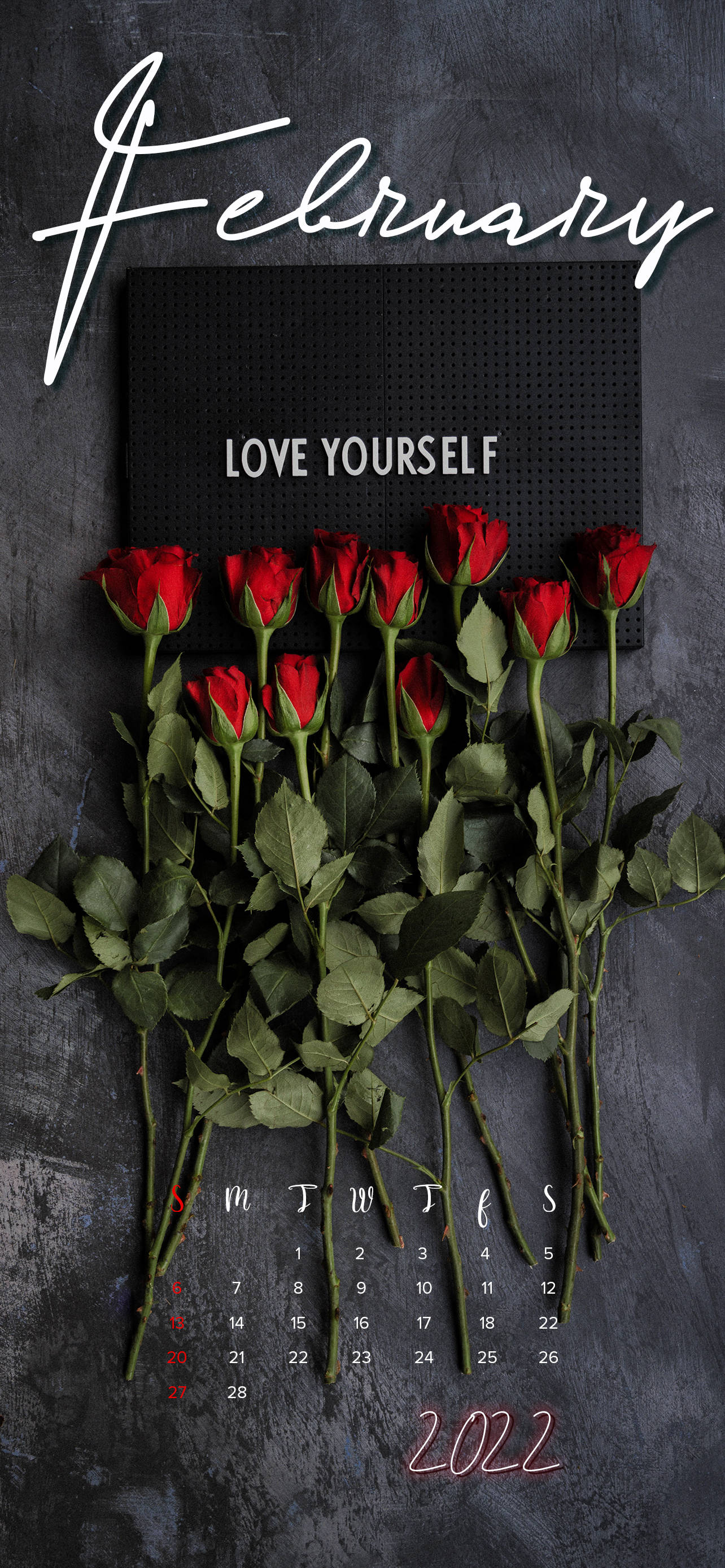 Februarie 2022 Rose Kalender Muurpapier