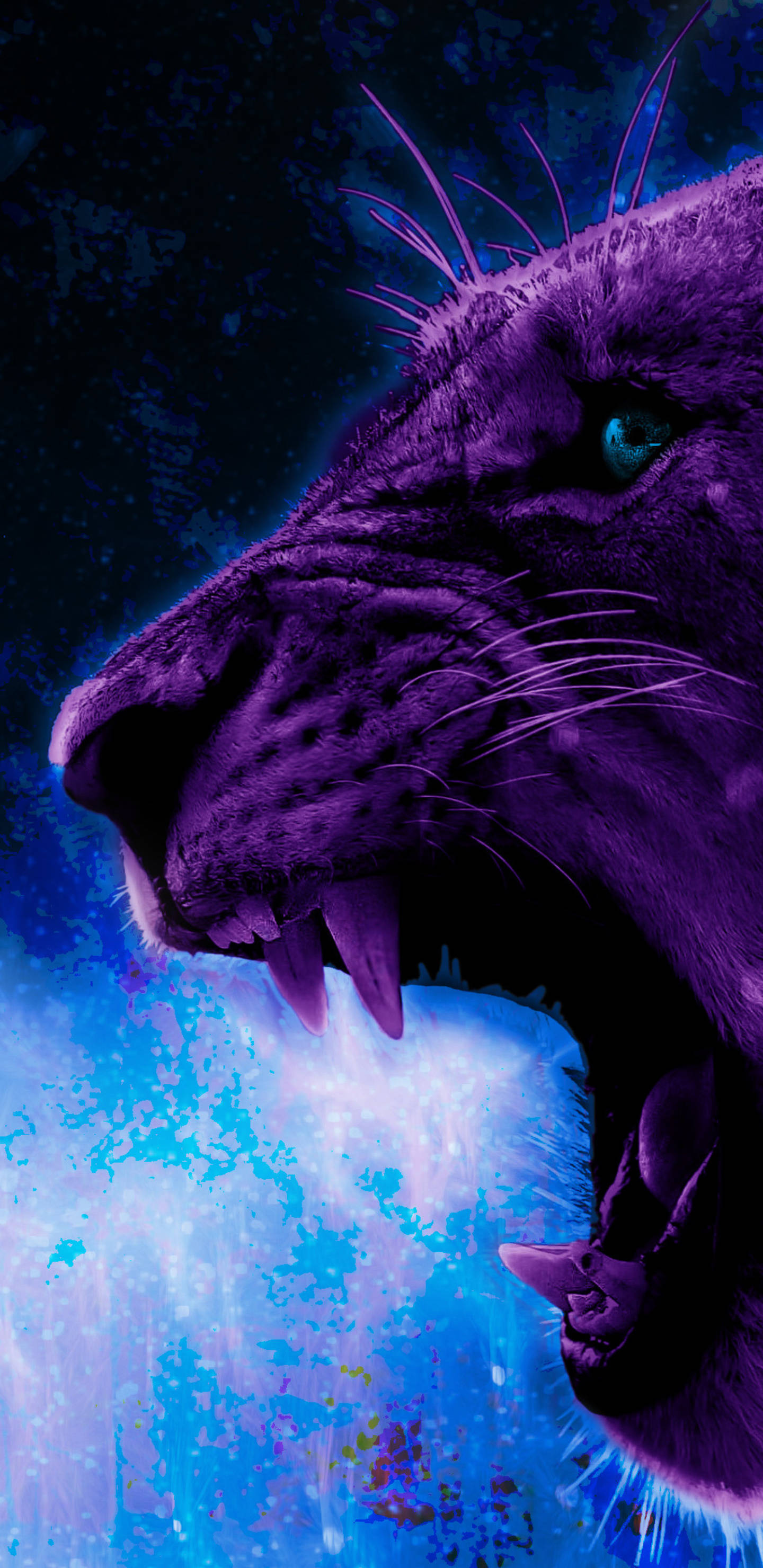 Fel Pers Leeu Galaxy Muurpapier