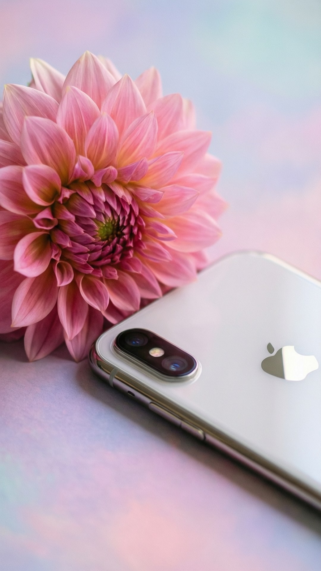 Florale Elegansie iPhone XR Muurpapier