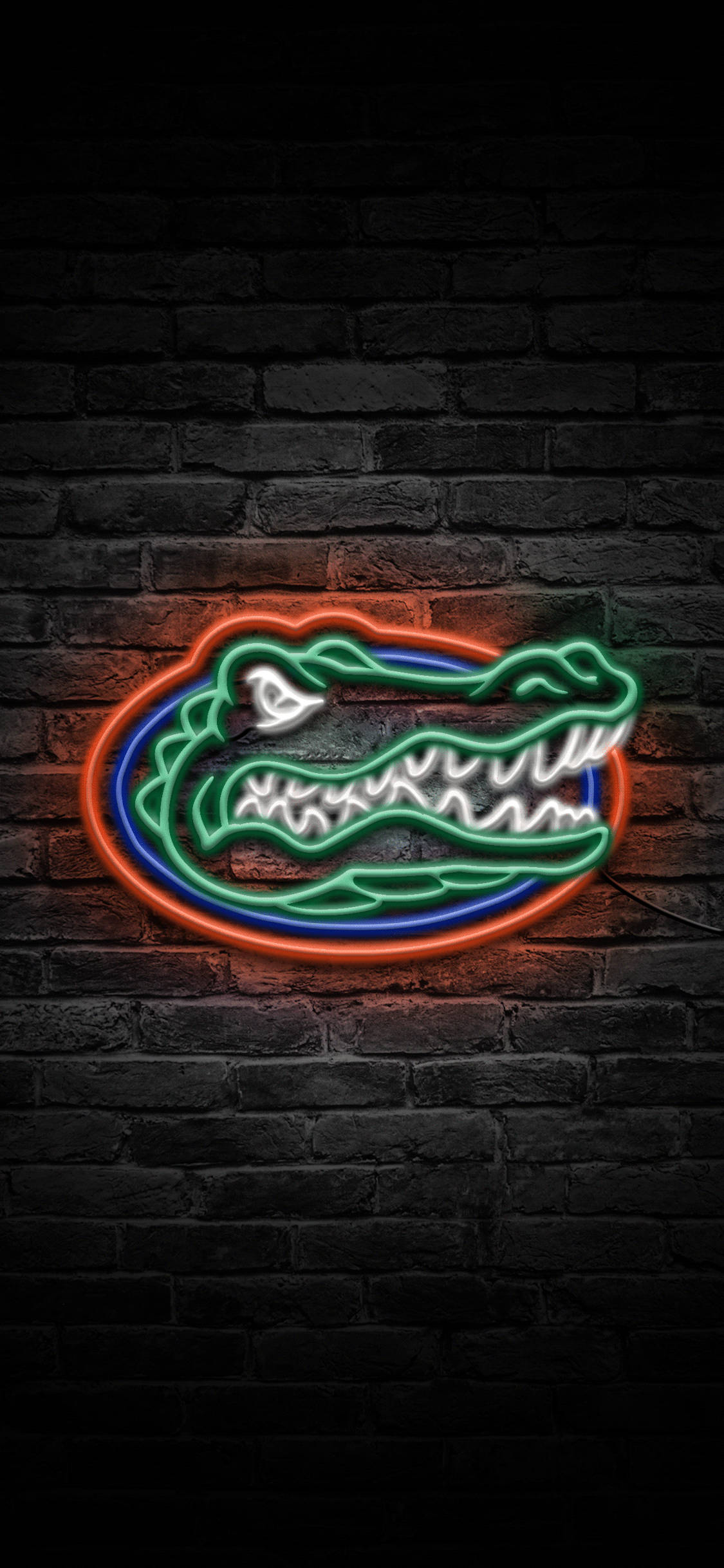 Florida Gators Logo In Neonligte Muurpapier