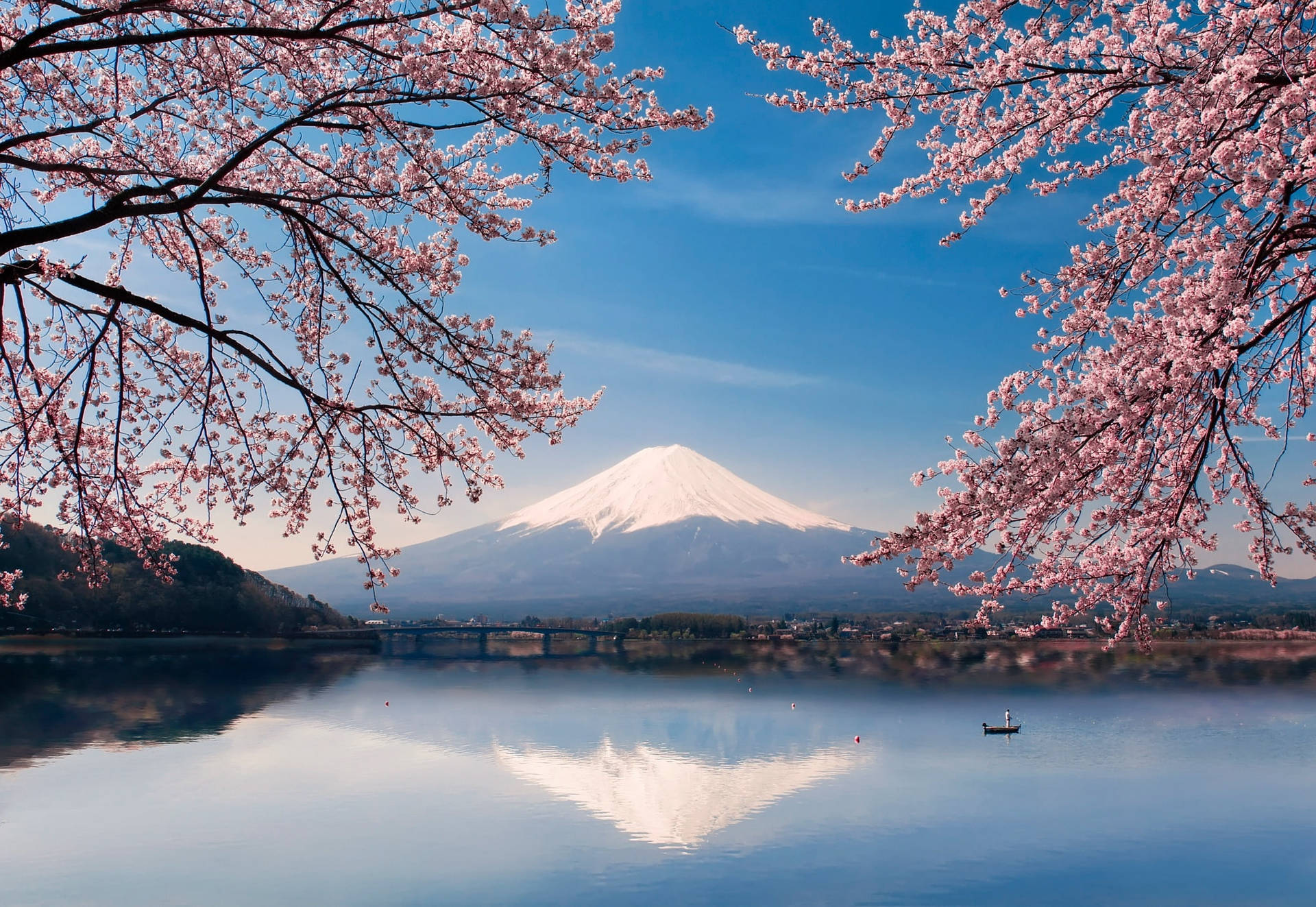 Berg Fuji Kersiebloeisels Japan 4k — Japan GIF Muurpapier