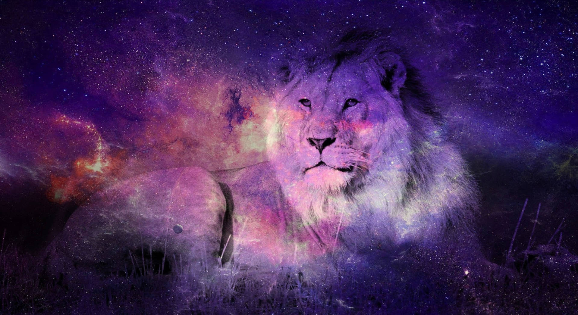Galaxy Leeu Oorleg Muurpapier