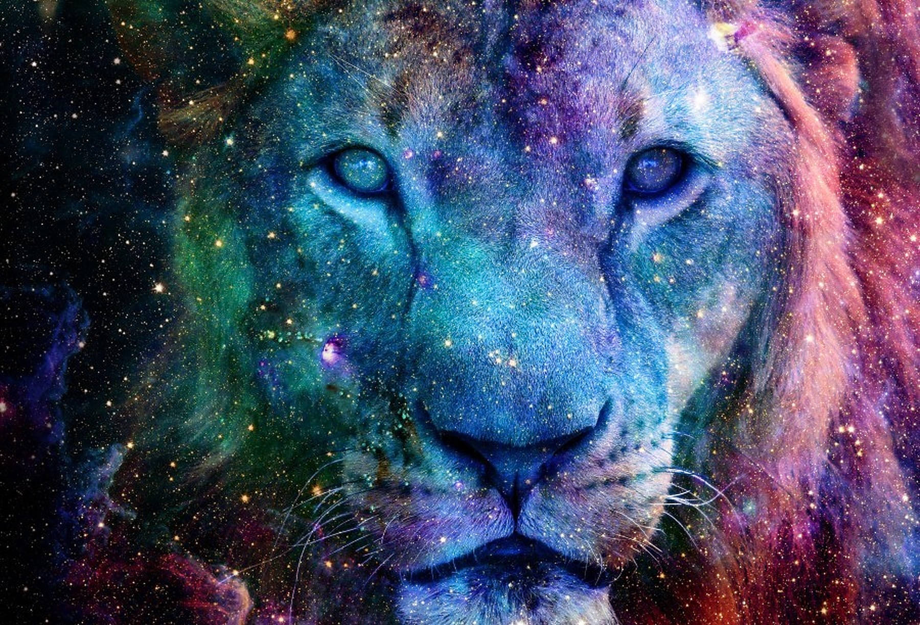 Galaxy Leeu Portret Muurpapier
