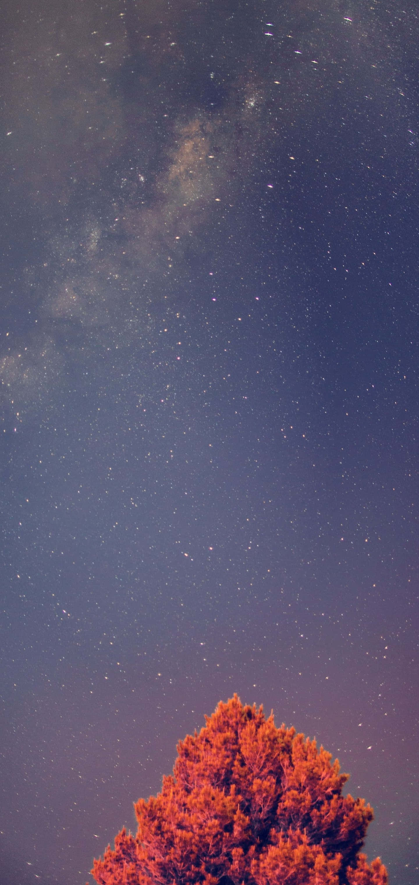 Galaxy S10 Plus agtergrond Muurpapier