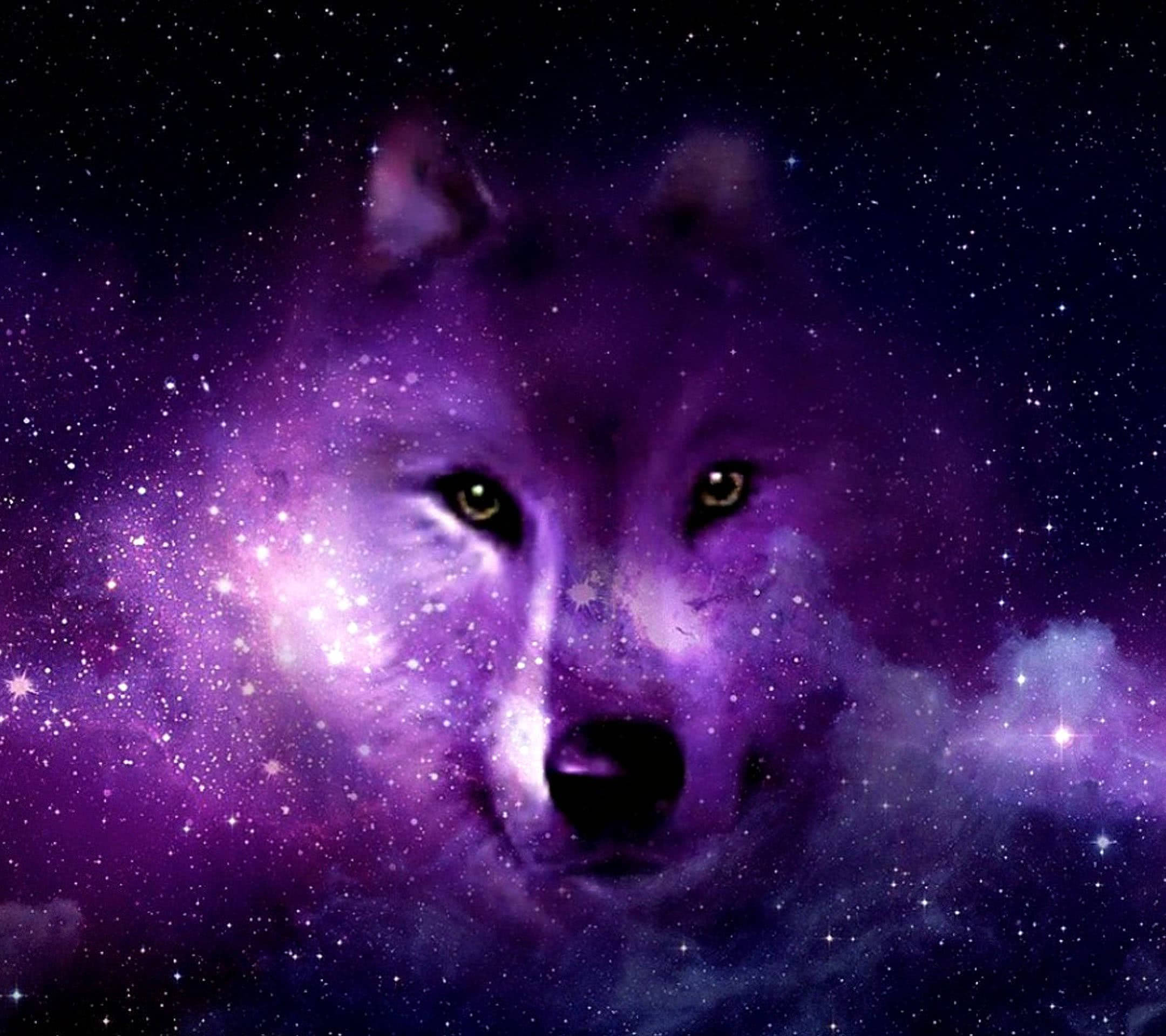 Galaxy Wolf Estetiese Kuns Muurpapier