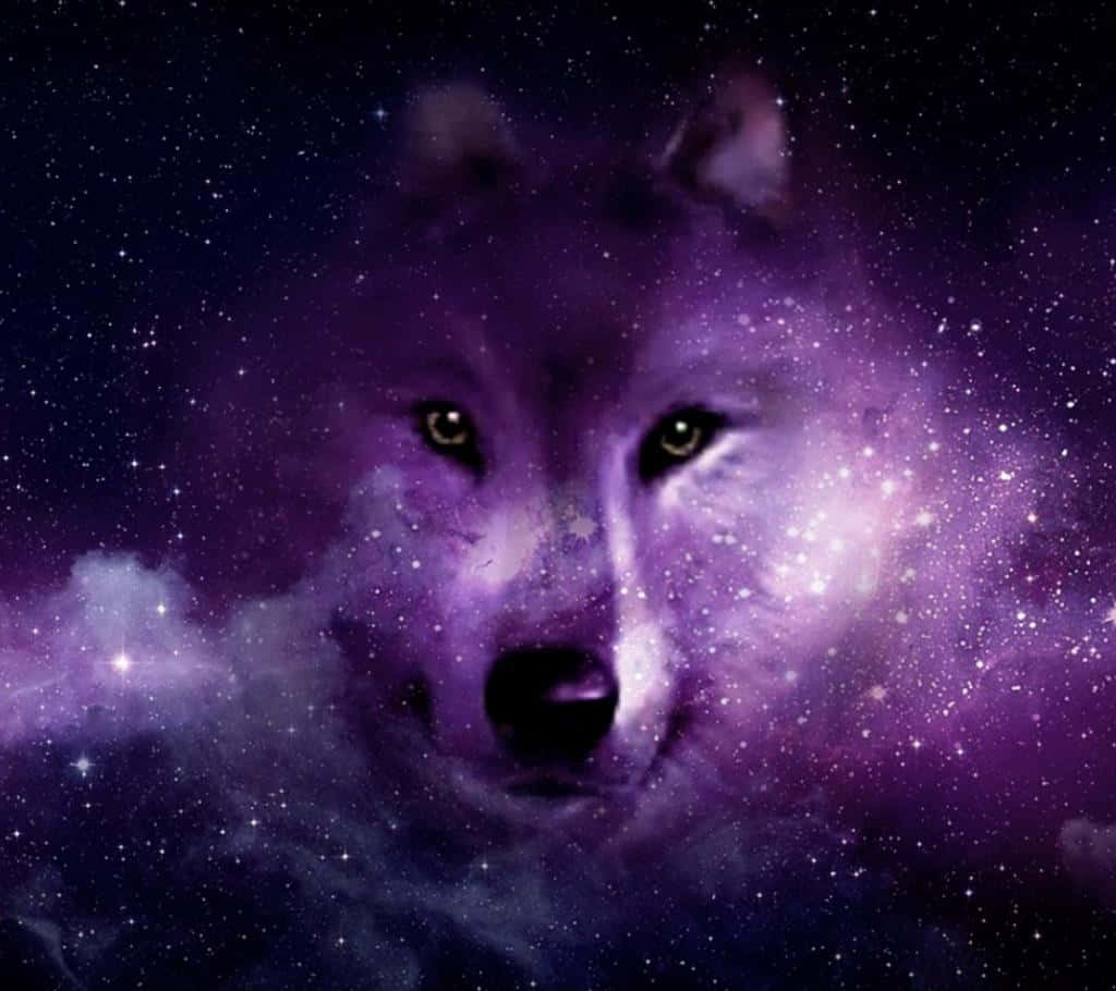 Galaxy Wolves iPhone-skermtema Muurpapier